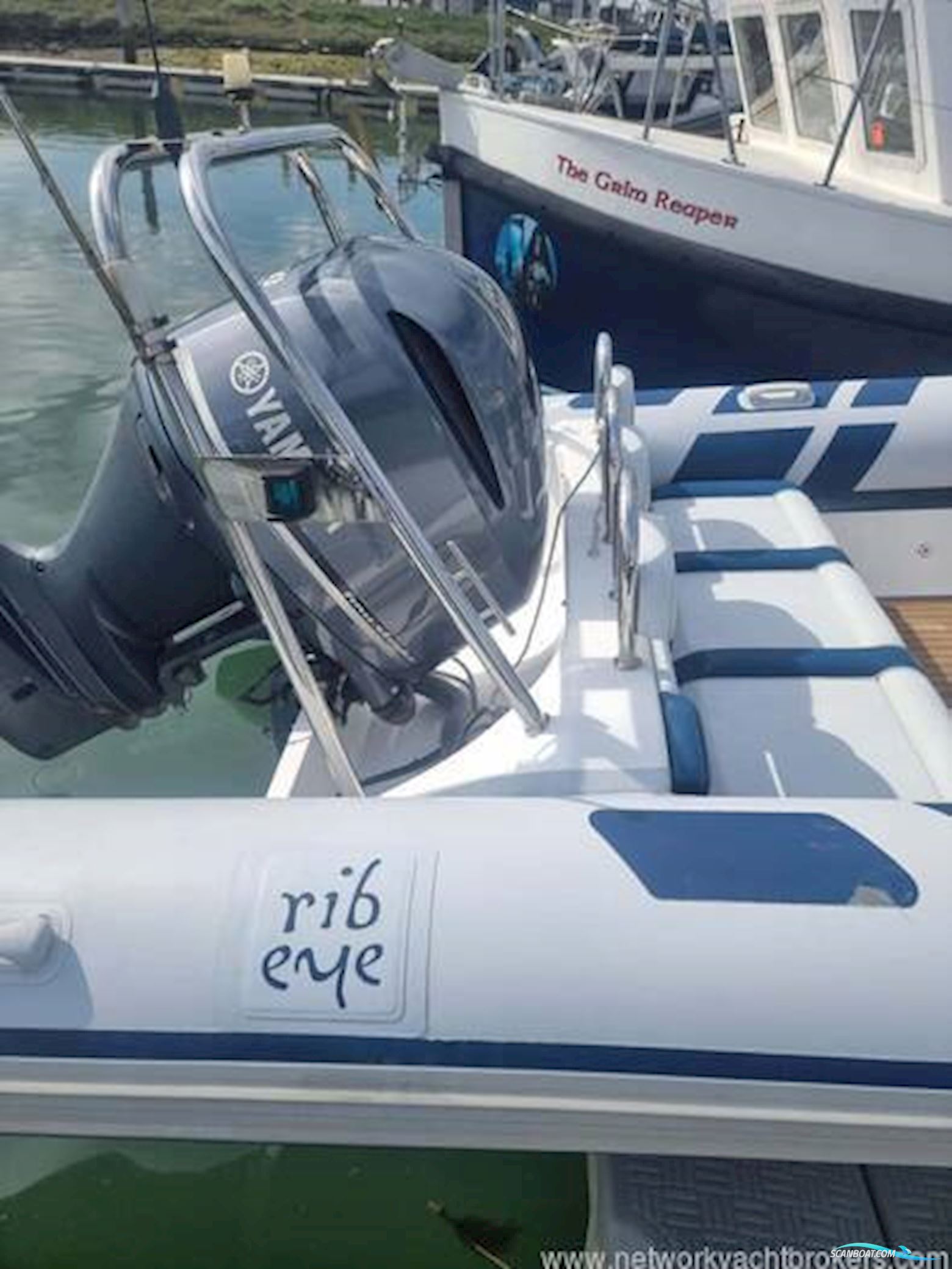 Ribeye 785 S