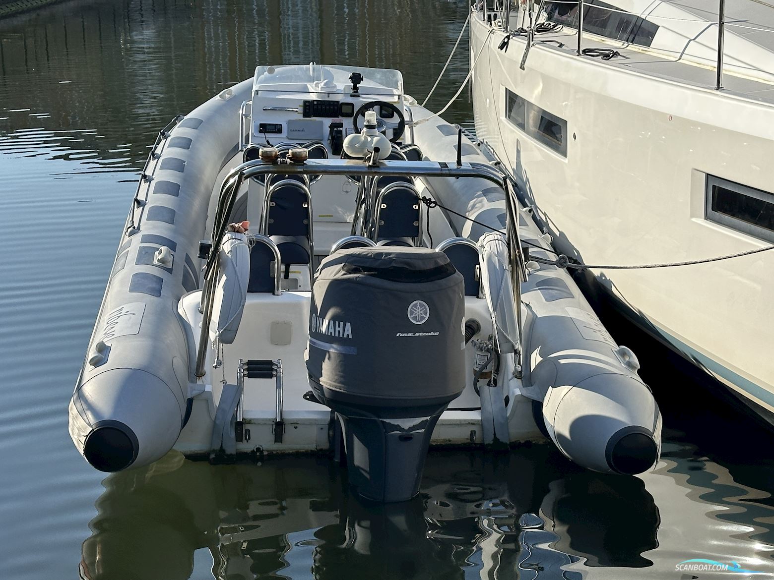 Ribeye 785