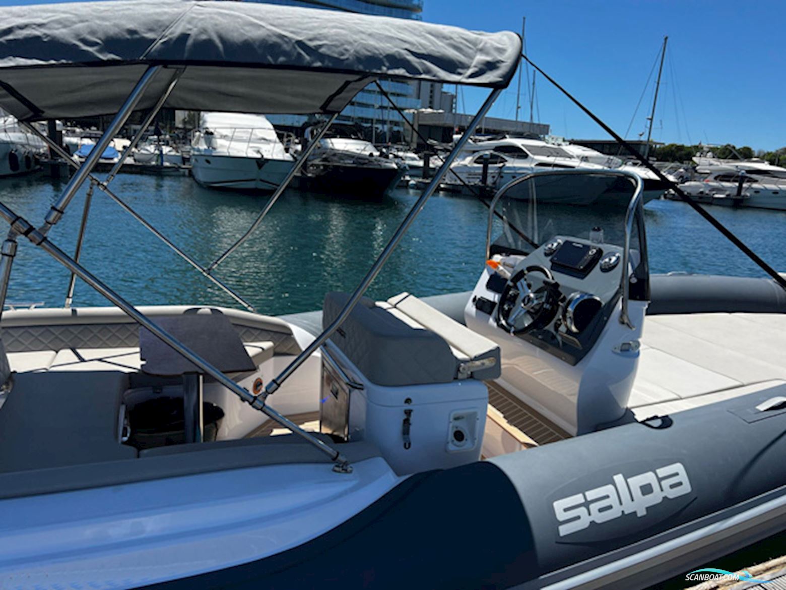 Salpa Soleil 23