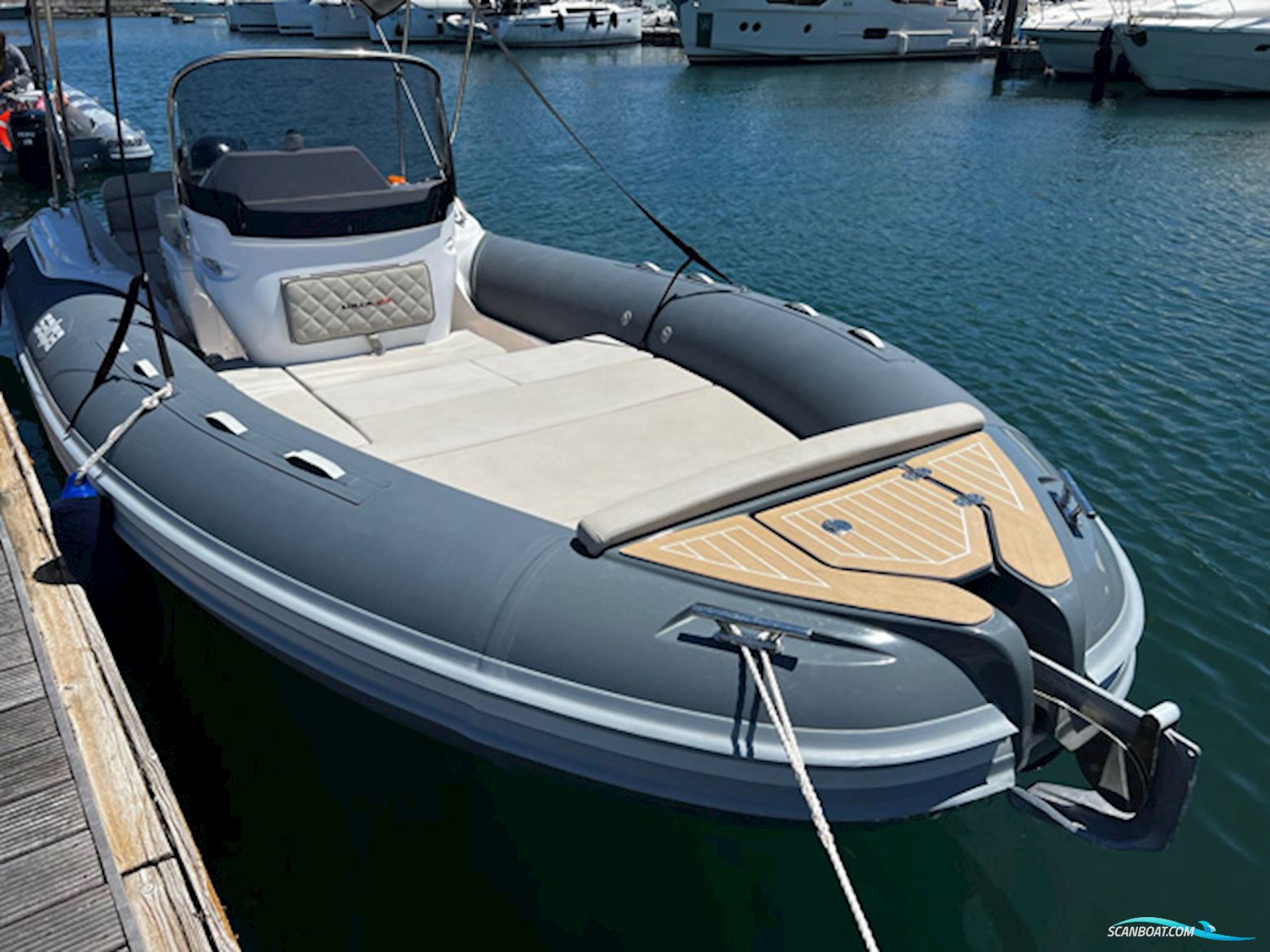 Salpa Soleil 23