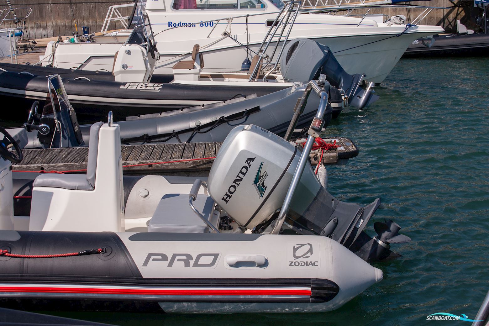 Zodiac Pro 12 Man