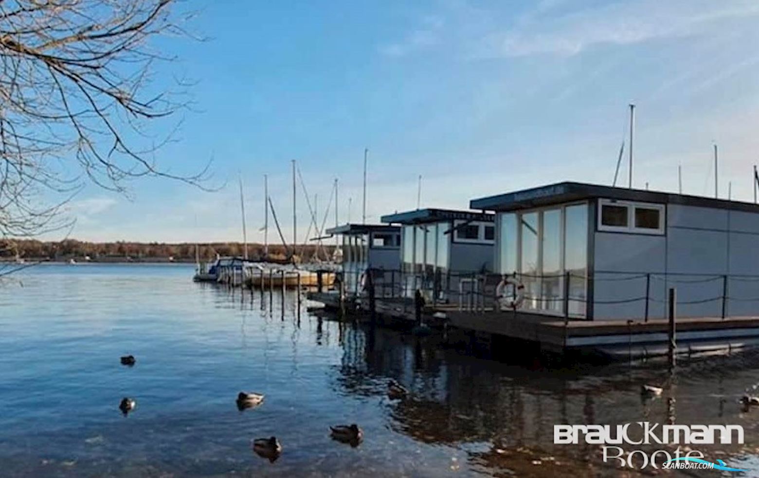 Werft Plaue Hausboot Wannsee 8.0 Hausboot / Flussboot 2016, Deutschland