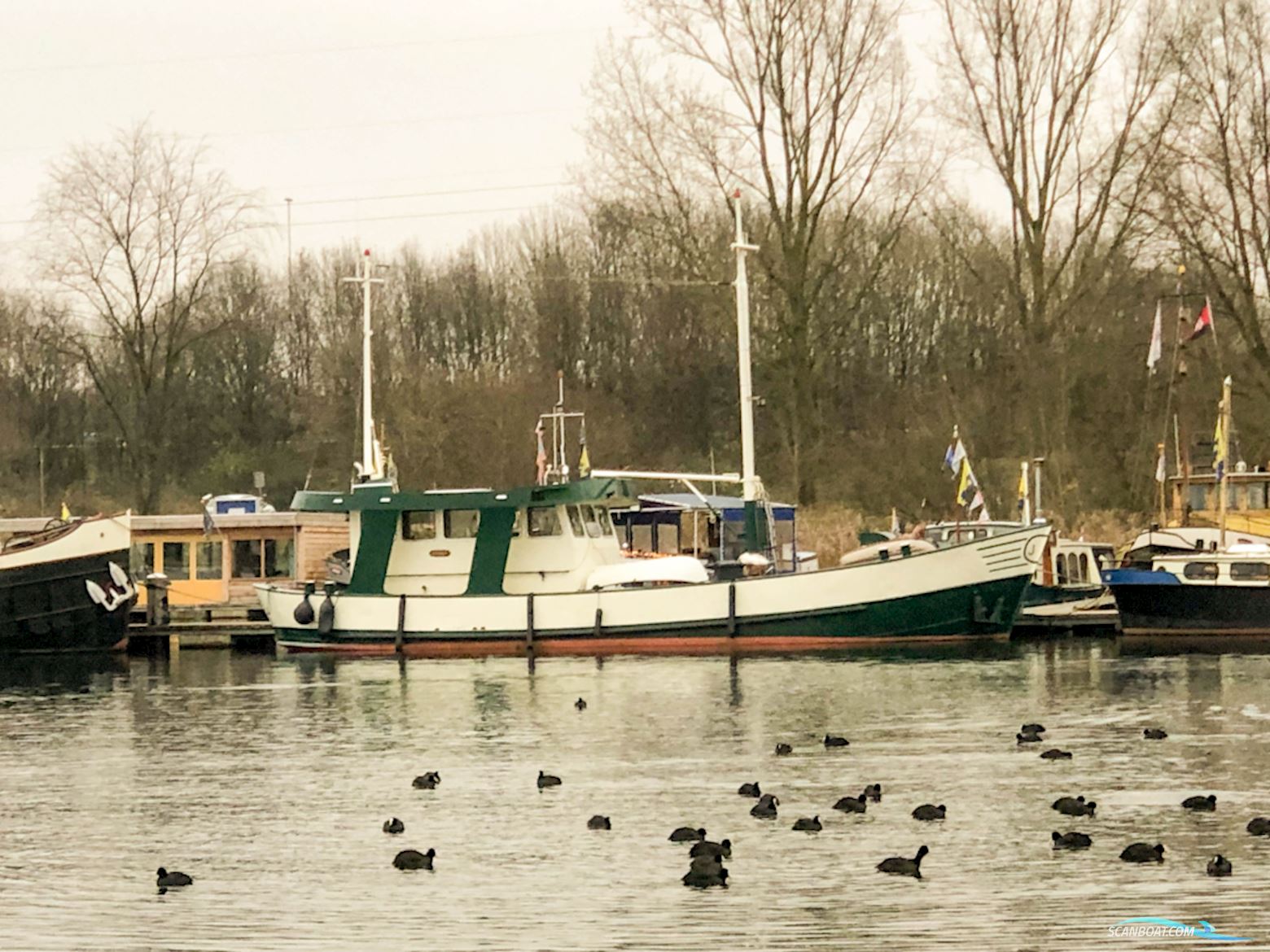 Kotter, Woonkotter Ex Viskotter Zeegaand