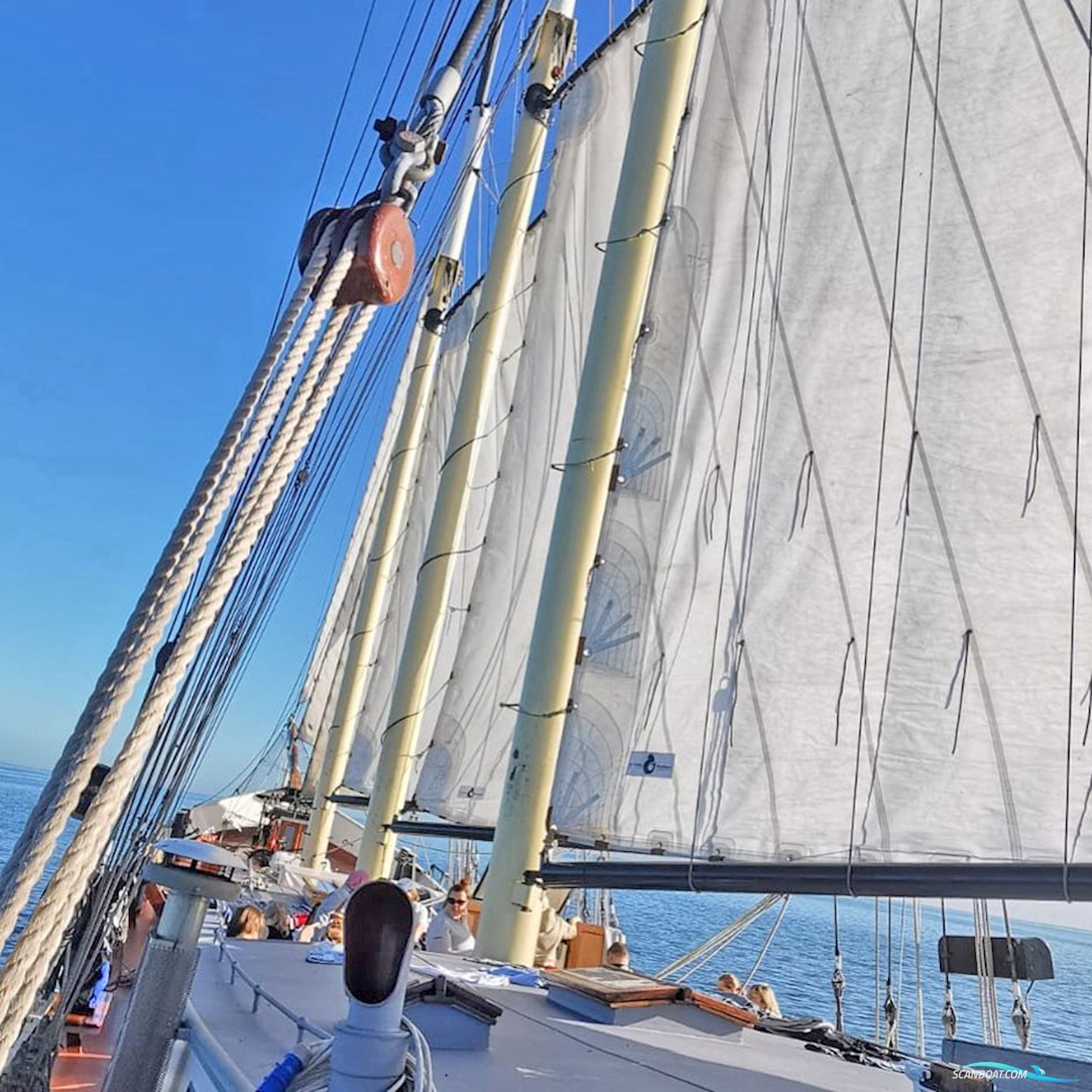 Topzeilschoener 26 hotelgasten