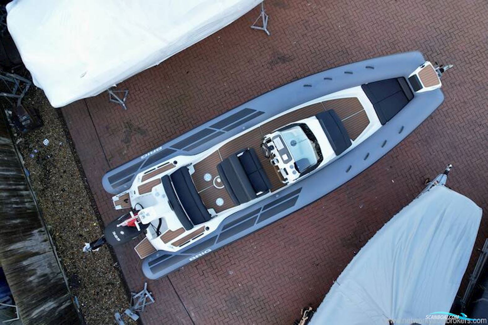 Brig Ribs Eagle 8