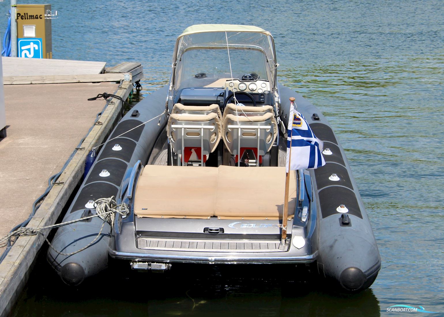 Goldfish 29 Rib Tender