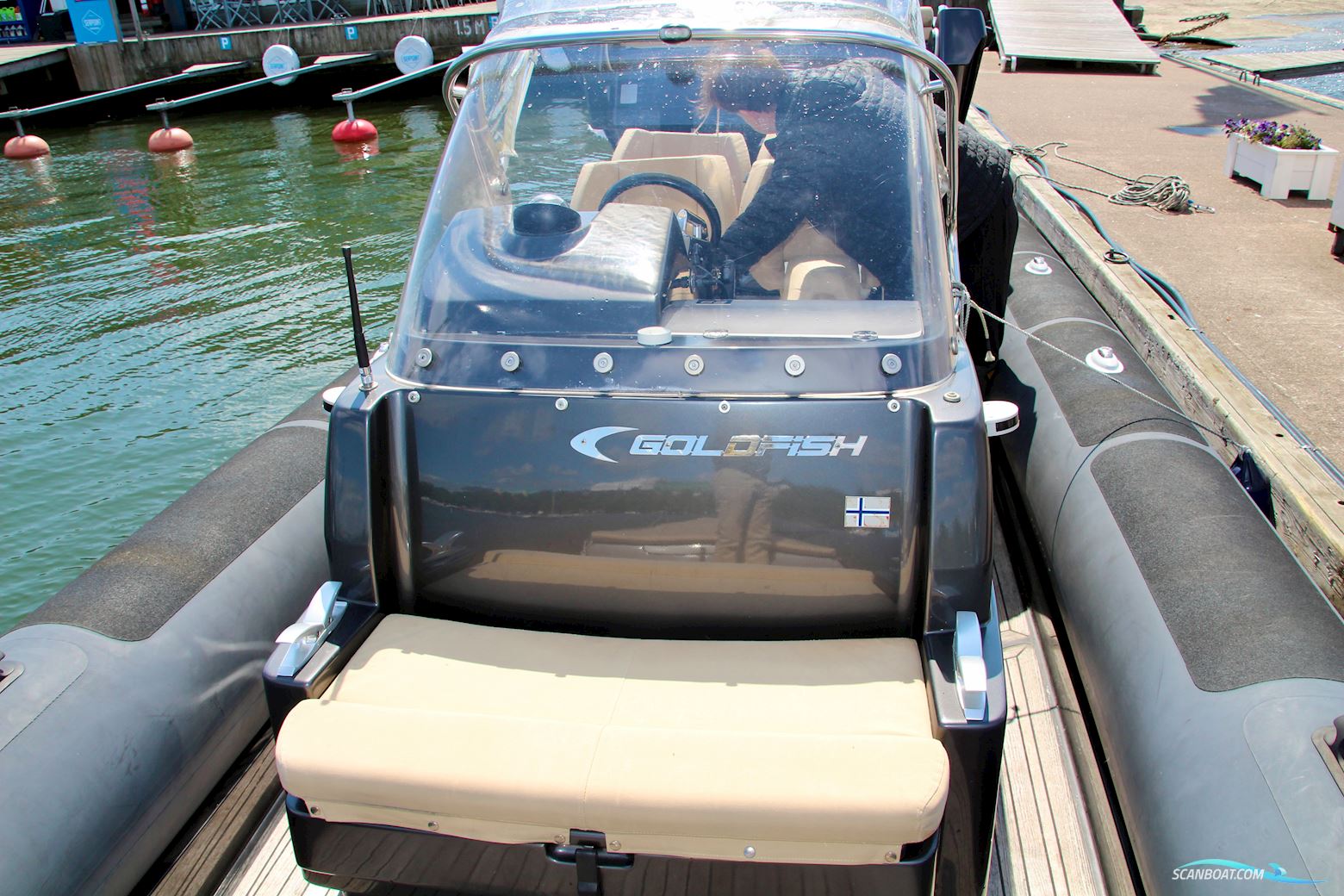 Goldfish 29 Rib Tender