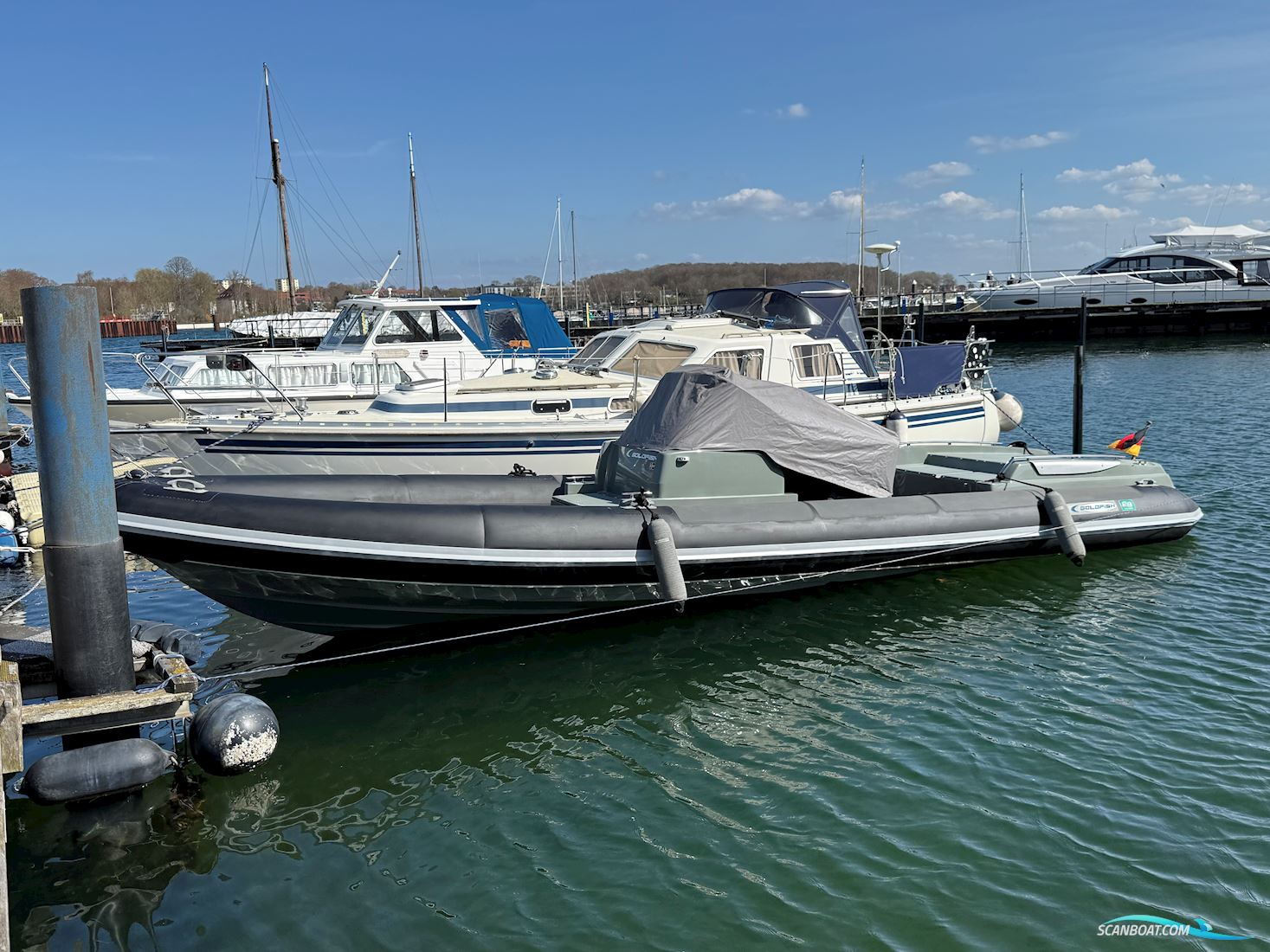 Goldfish 29 Sport