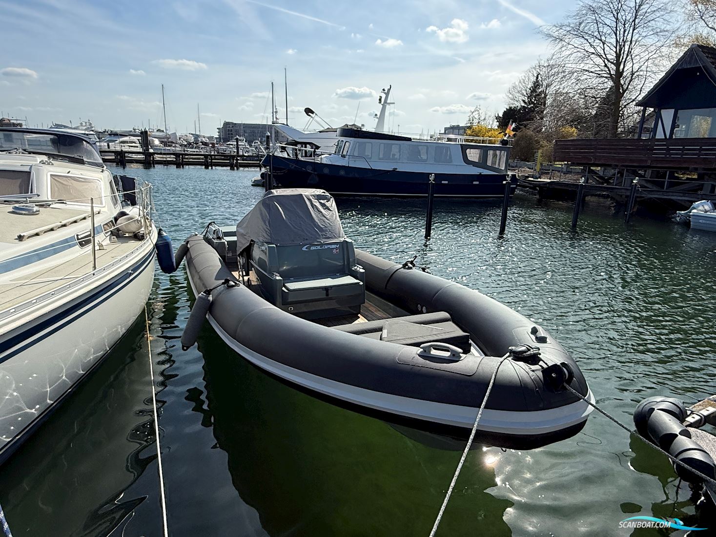 Goldfish 29 Sport