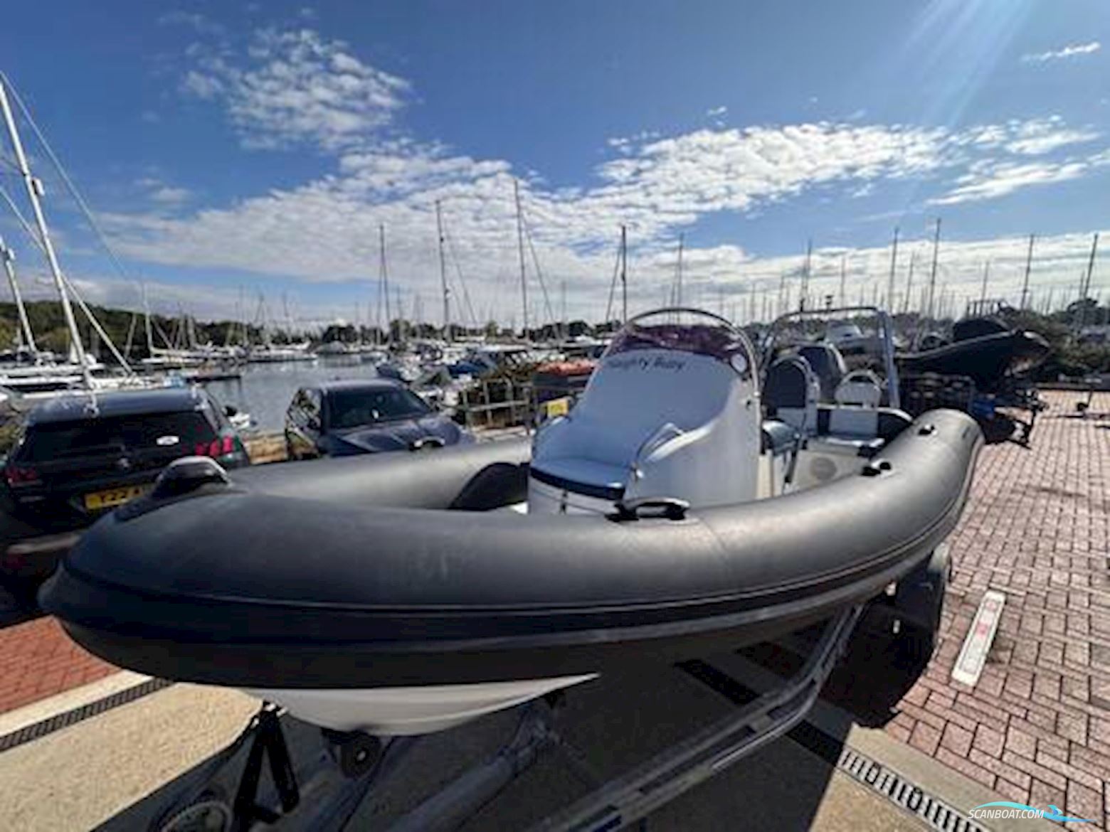 Ribeye 550