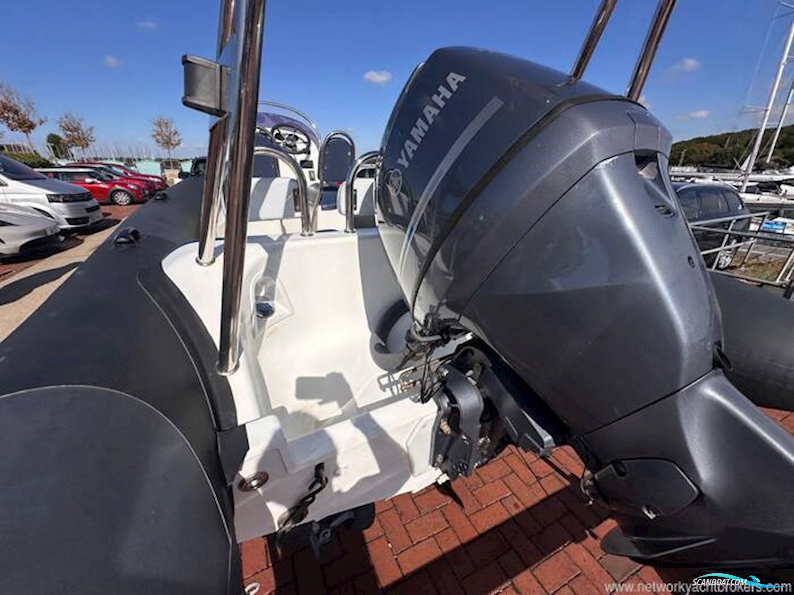 Ribeye 550