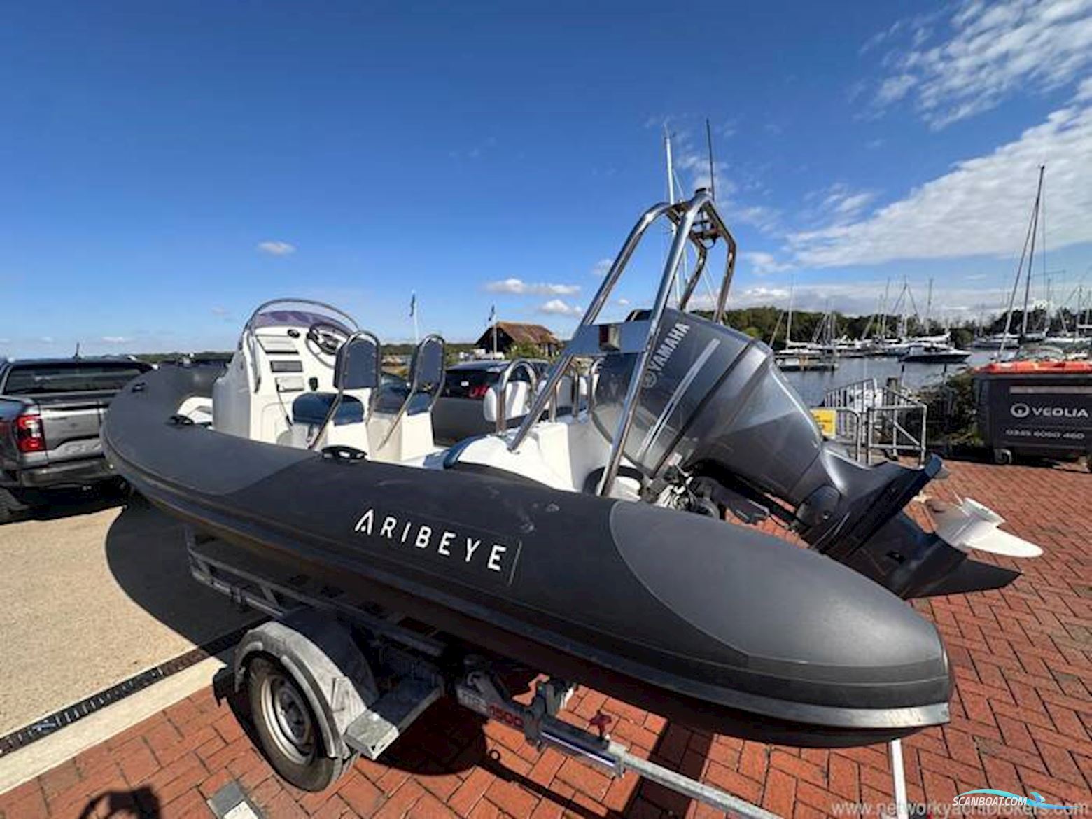 Ribeye 550