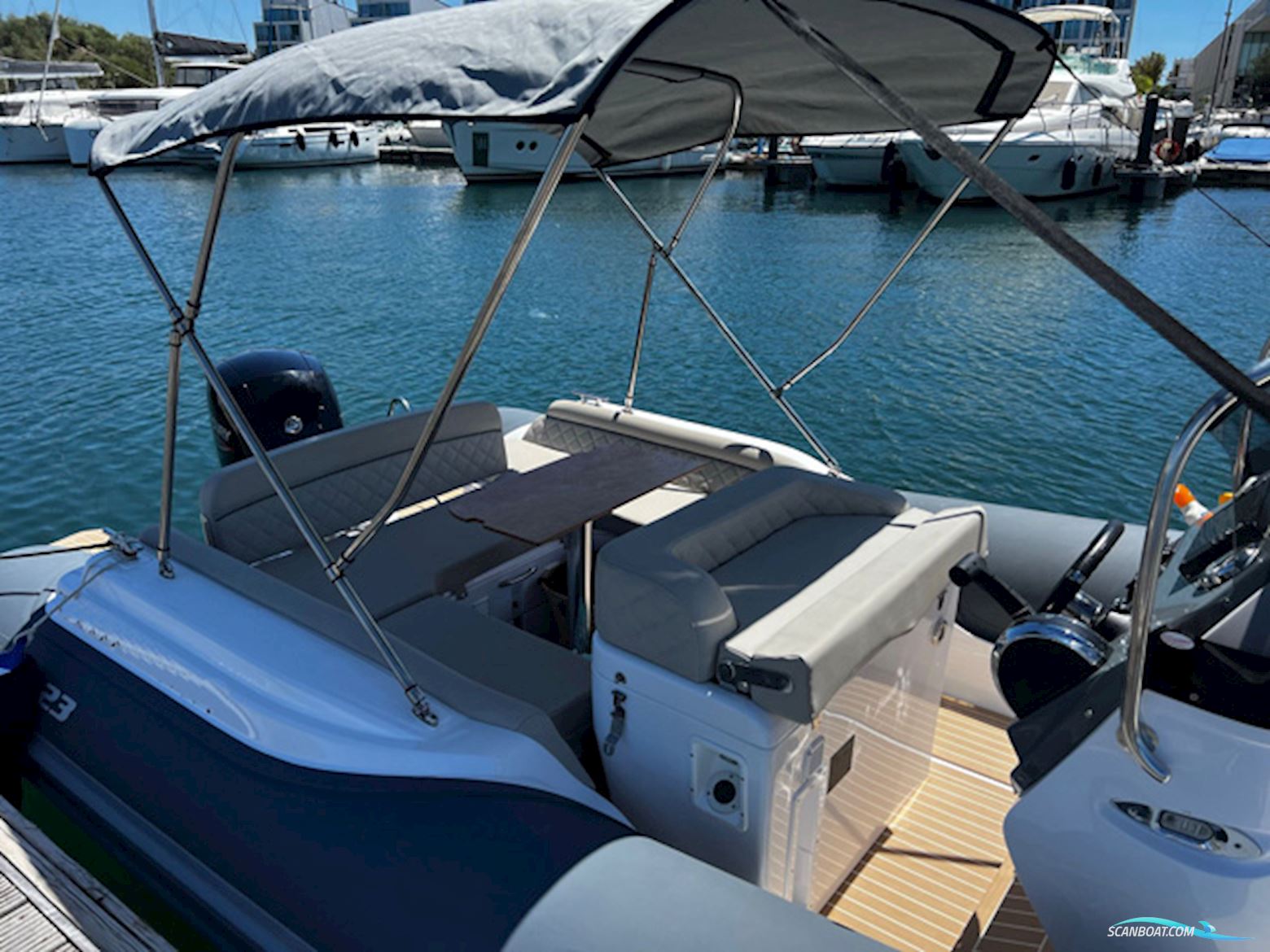 Salpa Soleil 23