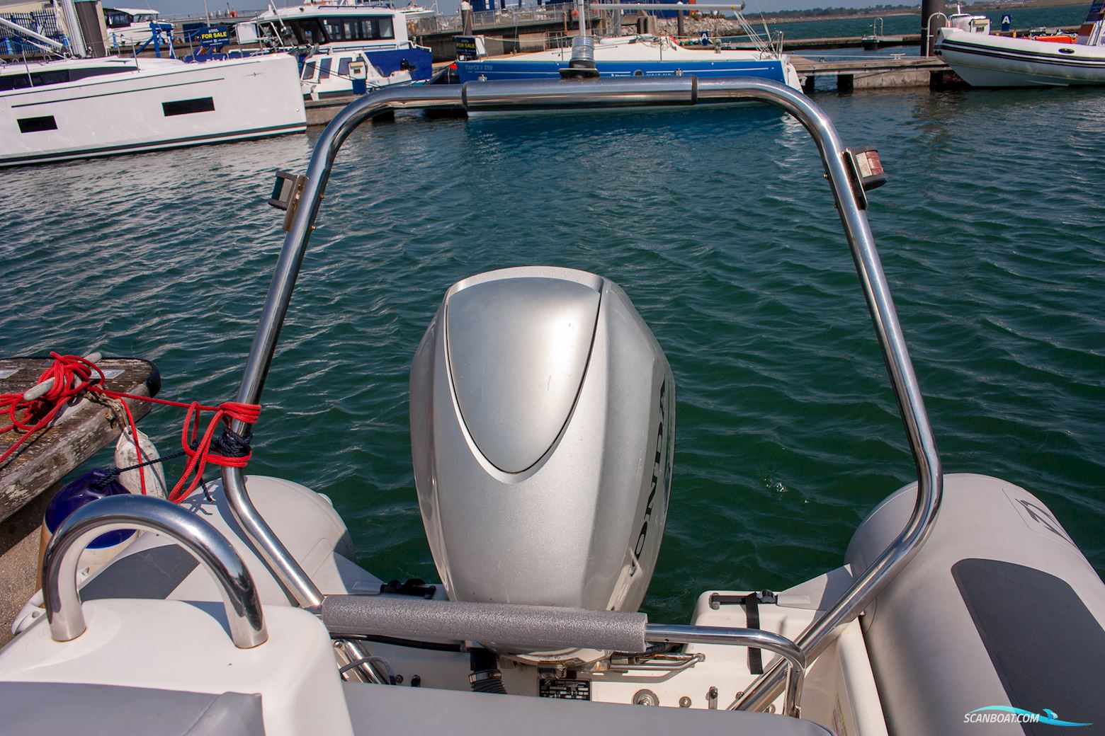 Zodiac Pro 12 Man