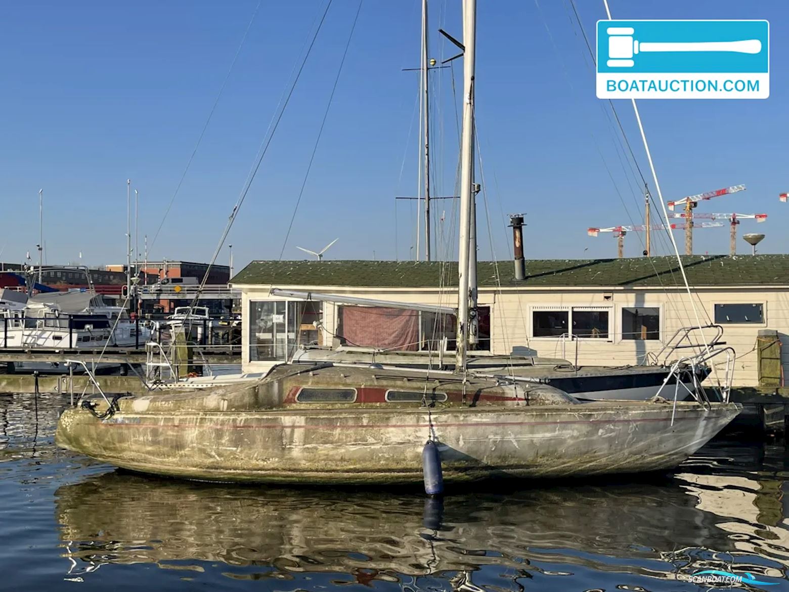 Cabin sailboat 800 Jolle 2024, Holland