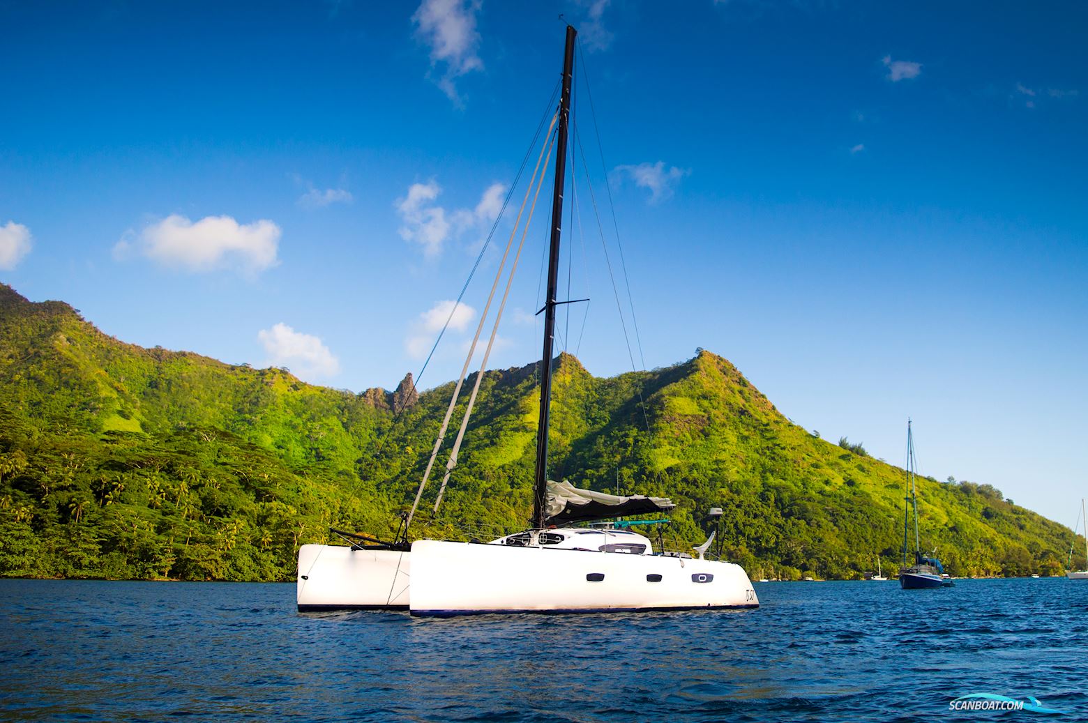 Barreau/Marsaudon TS 50