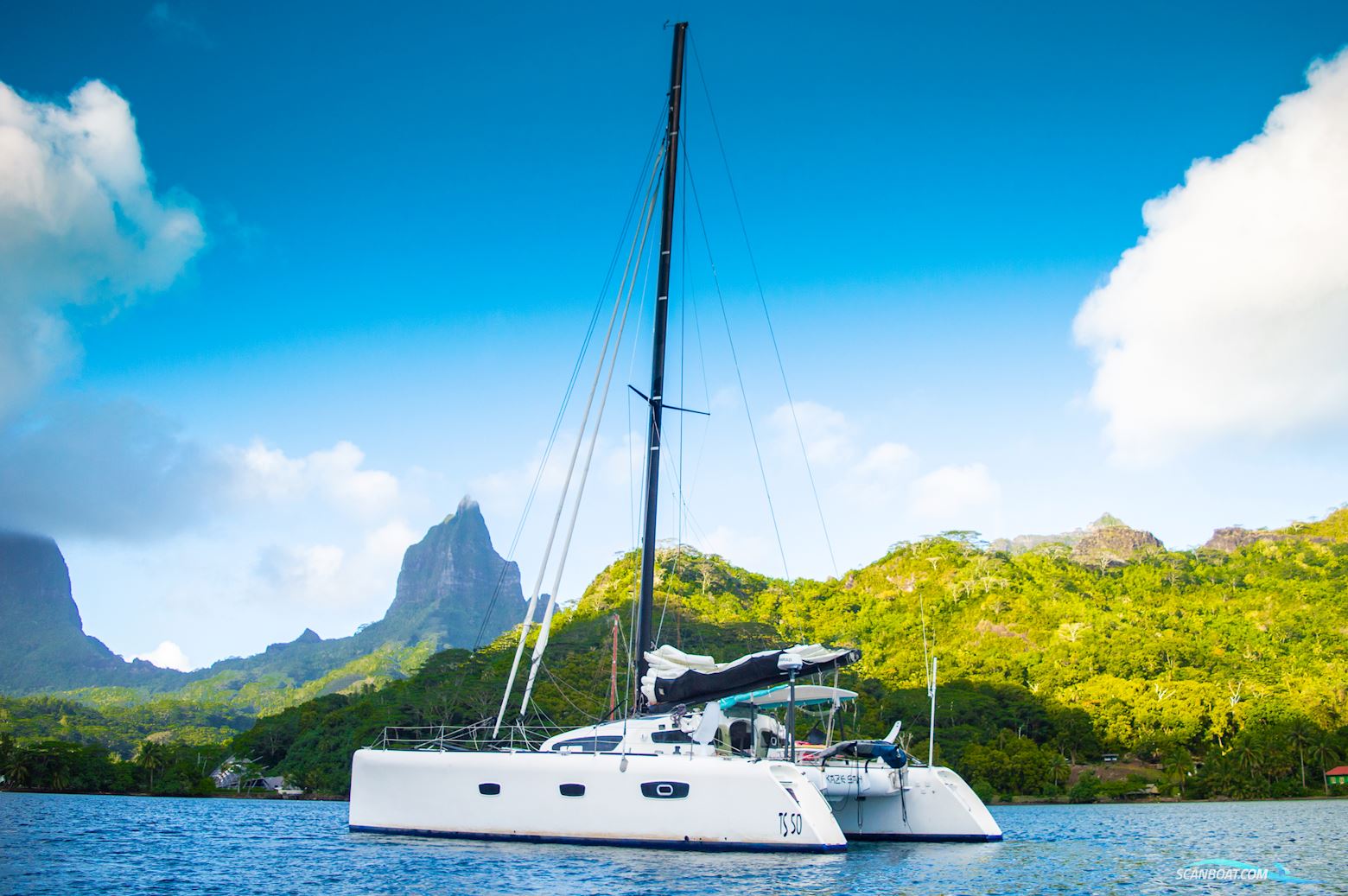 Barreau/Marsaudon TS 50