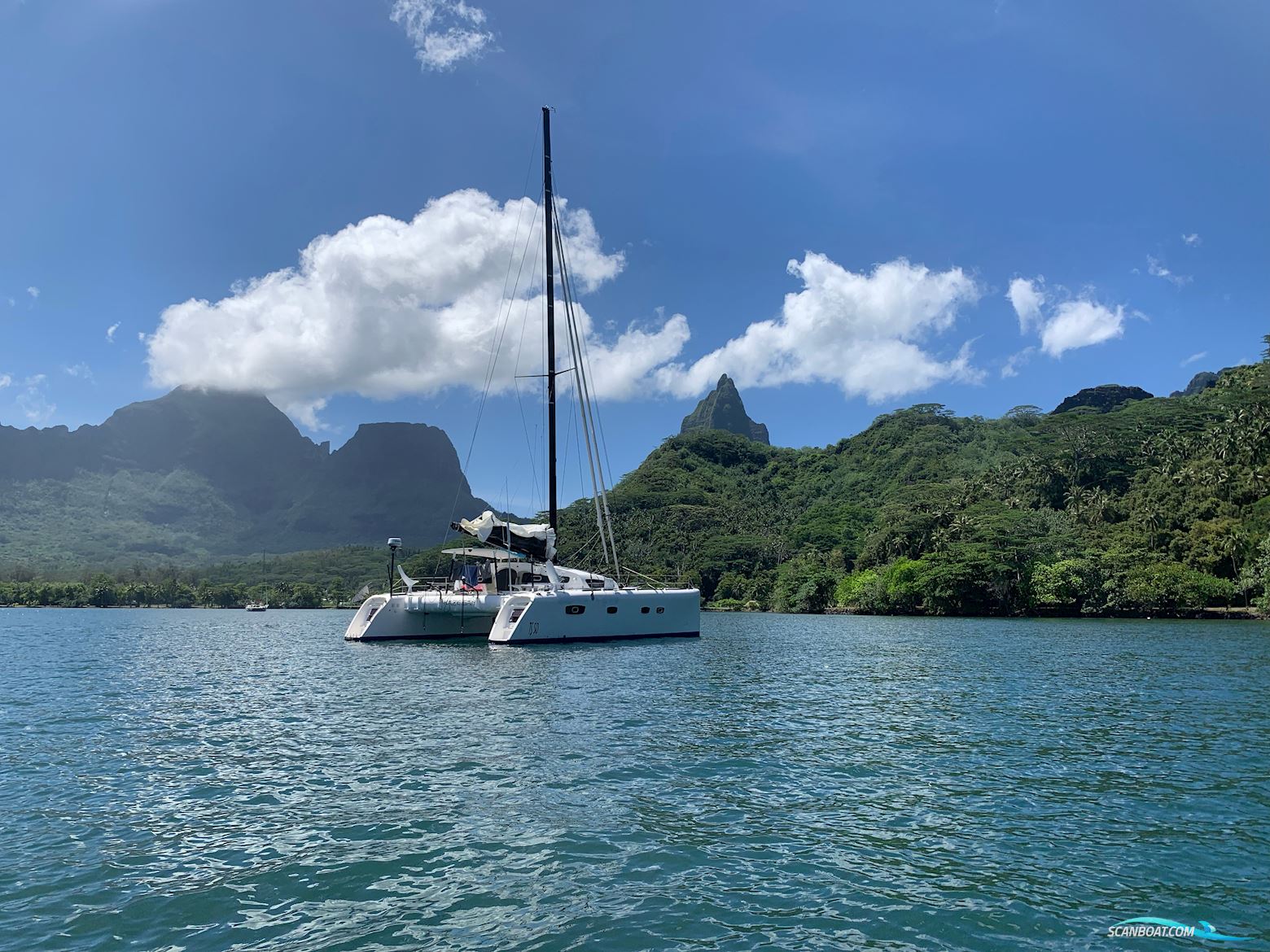 Barreau/Marsaudon TS 50