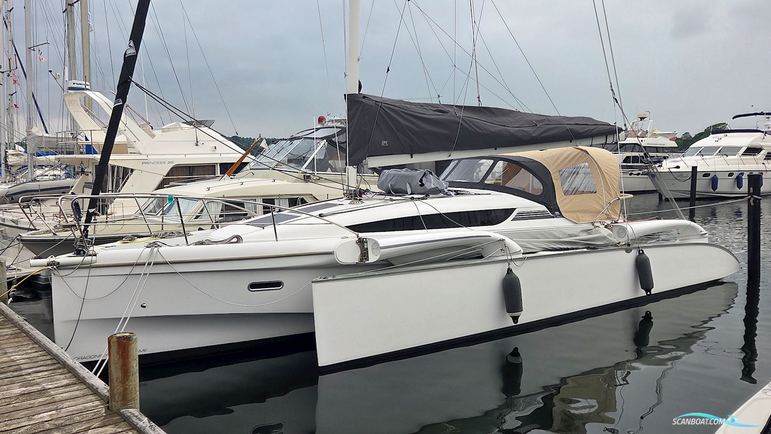 Dragonfly 32