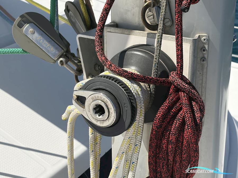 Fountaine Pakot Lavezii 40