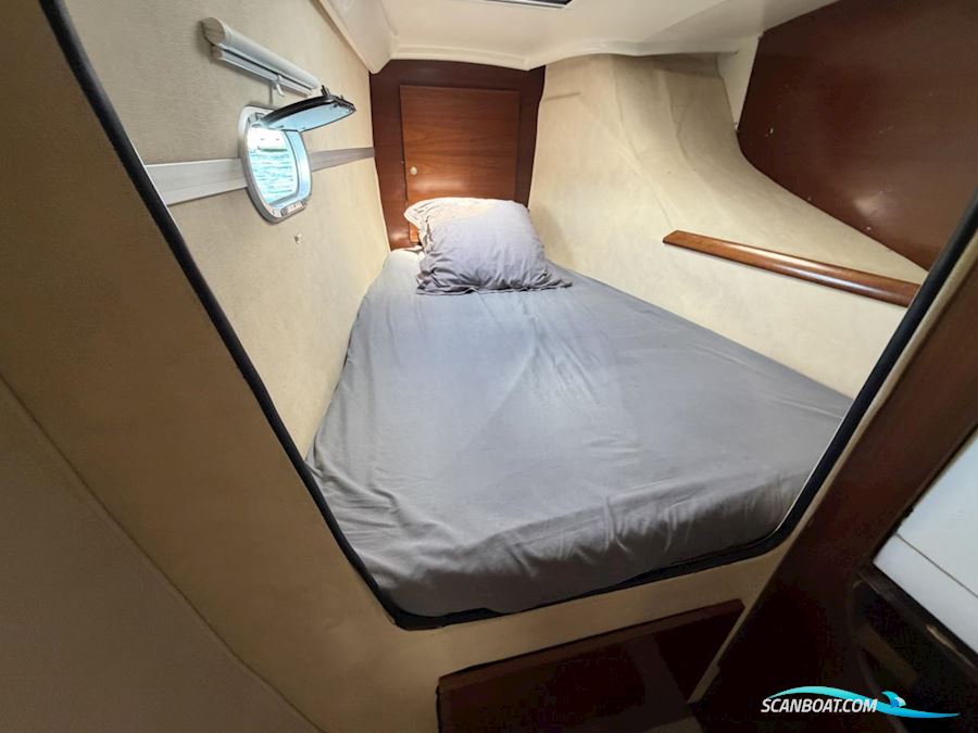 Fountaine Pakot Lavezii 40