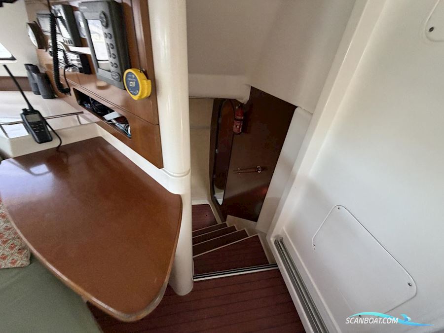 Fountaine Pakot Lavezii 40