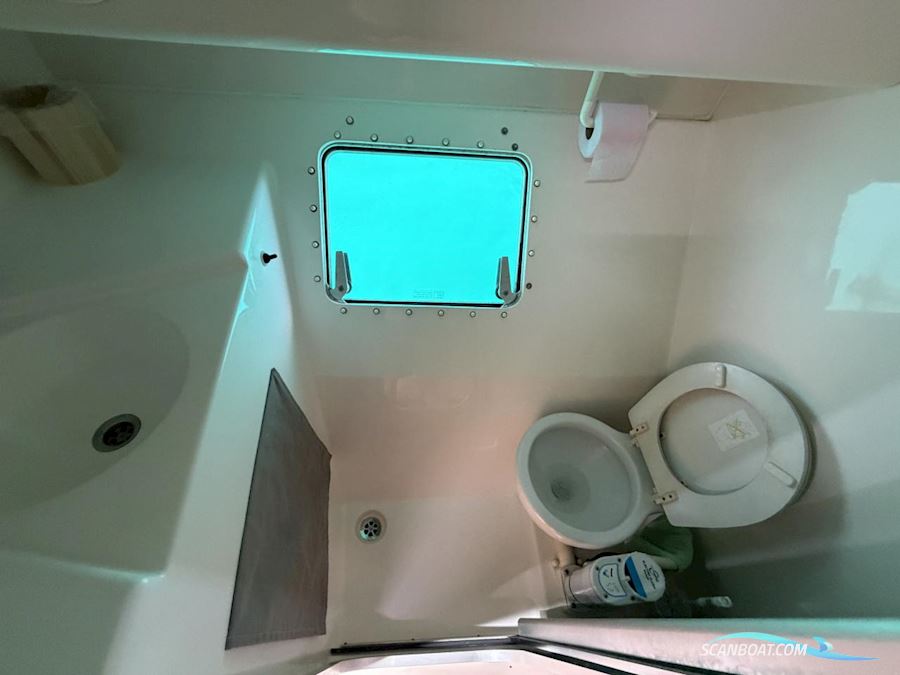 Fountaine Pakot Lavezii 40