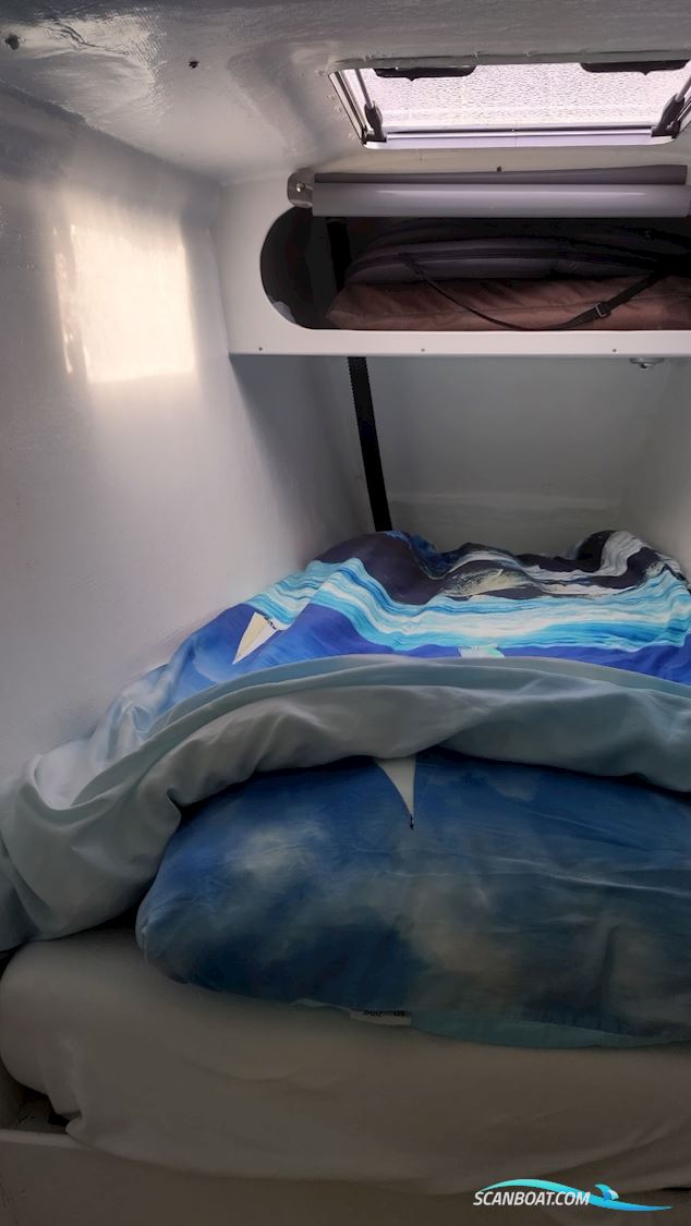Havkat 31 Catamaran