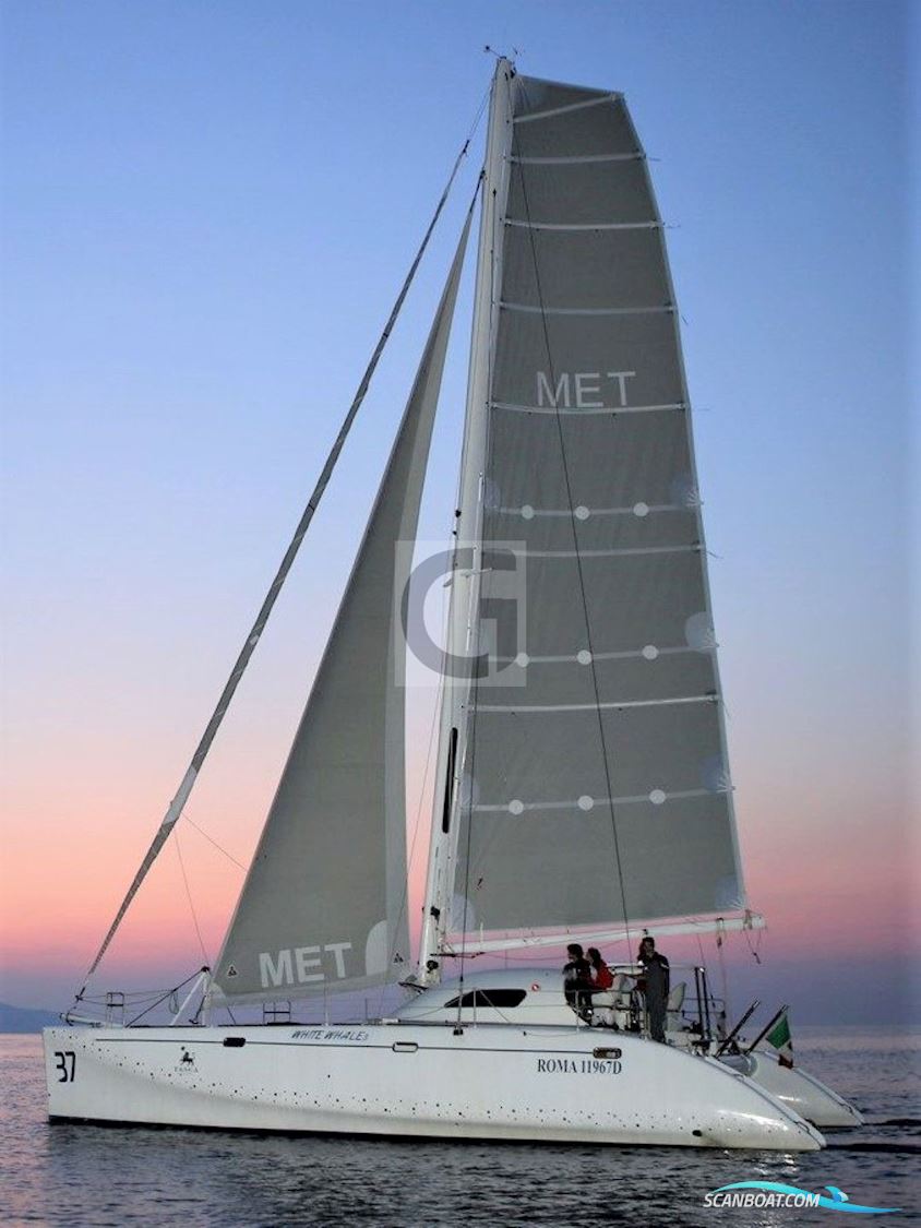 Latini Marine Cat 43