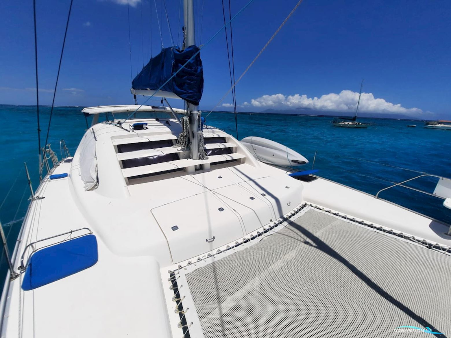 Leopard 40