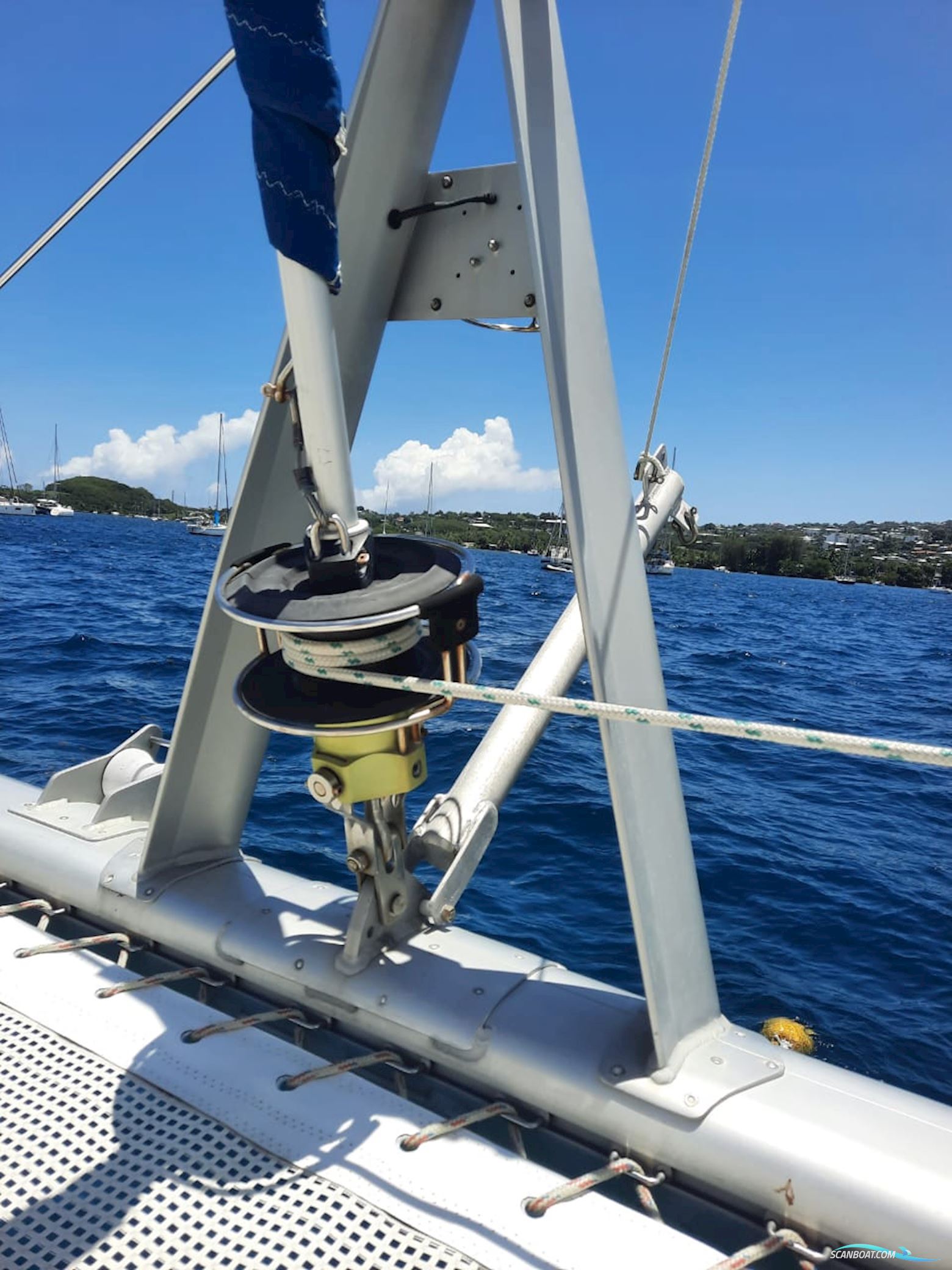 Leopard 40