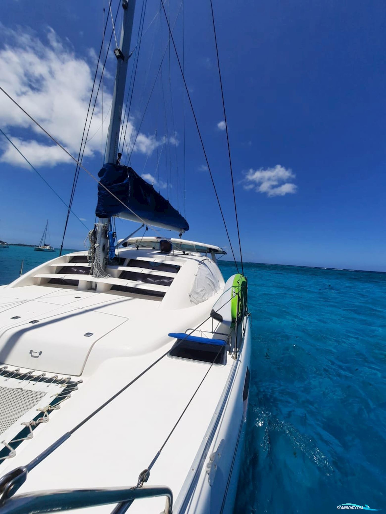 Leopard 40