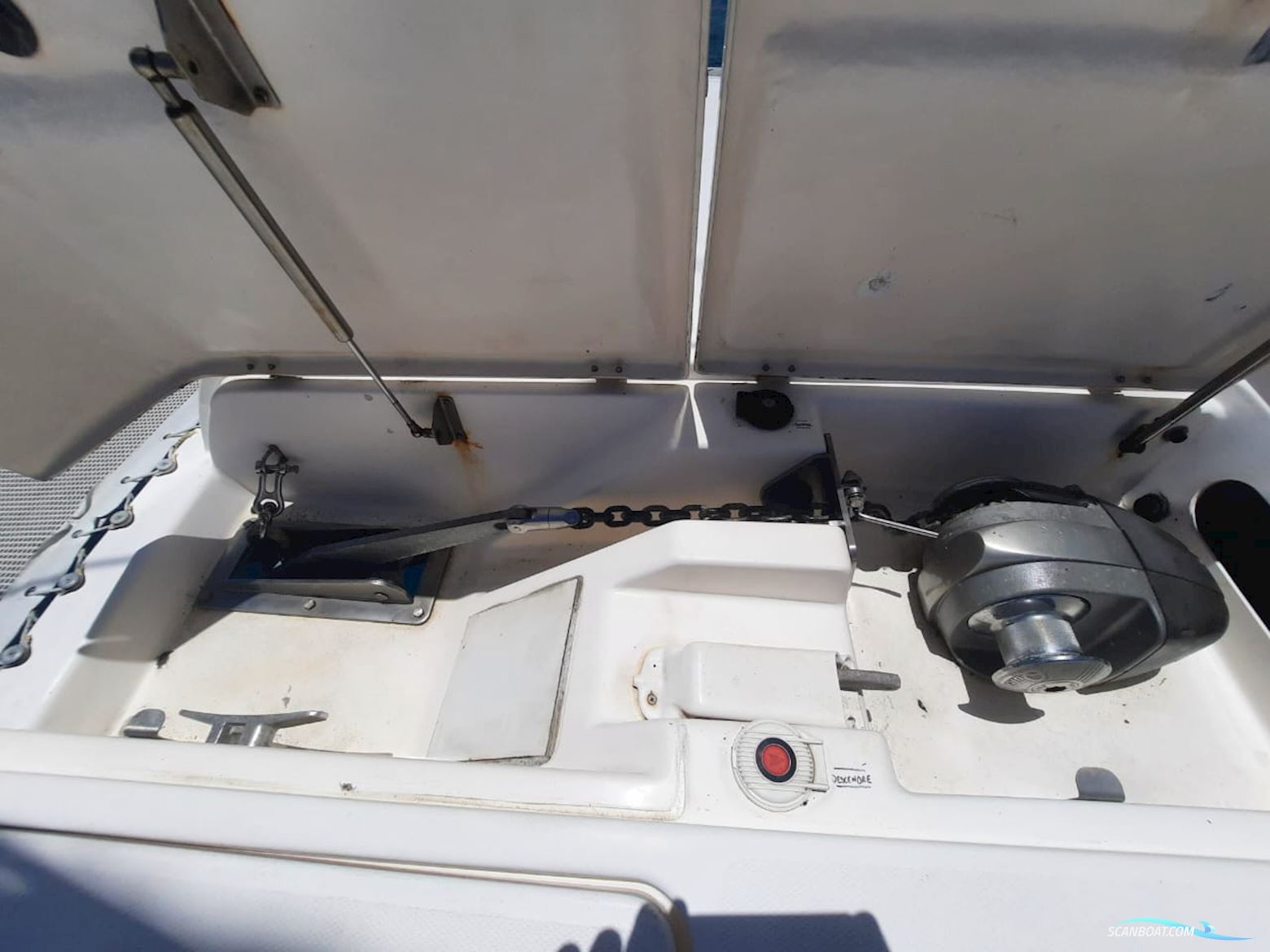 Leopard 40