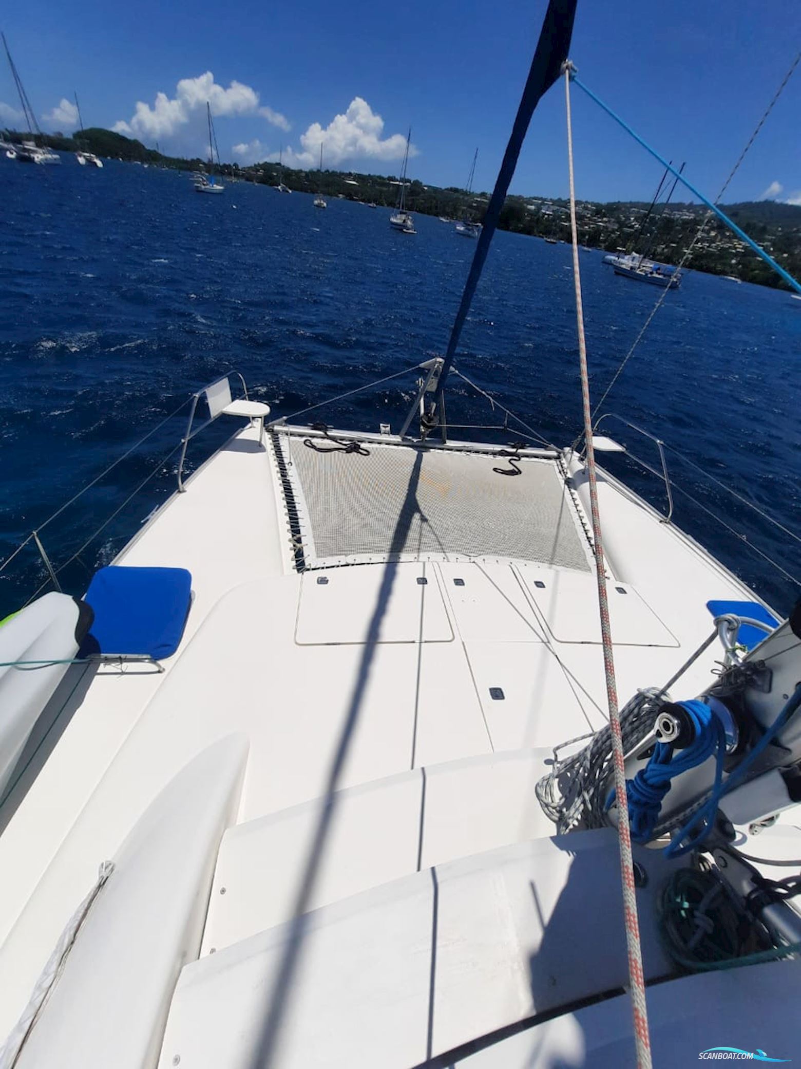 Leopard 40