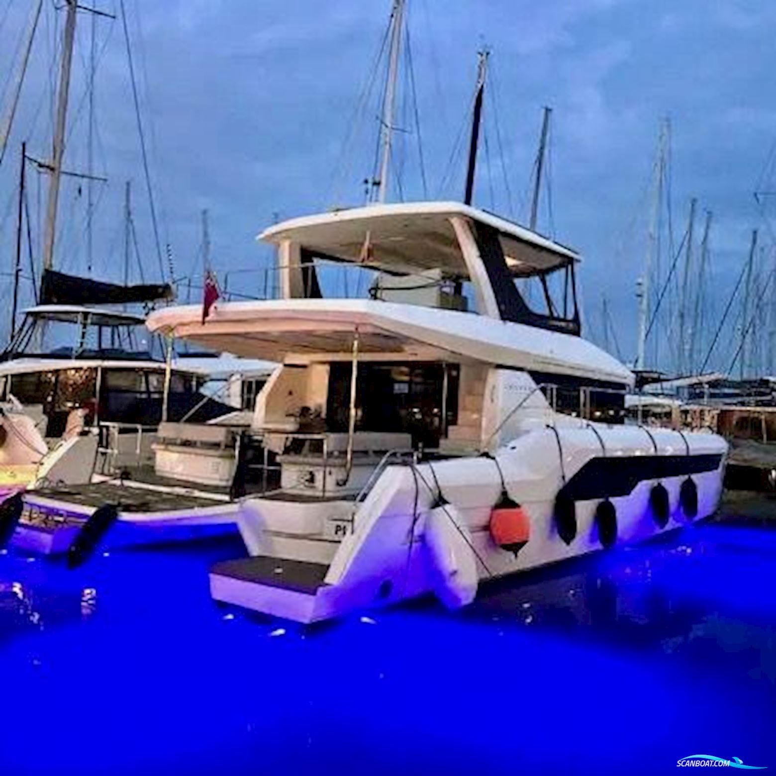 Leopard 53