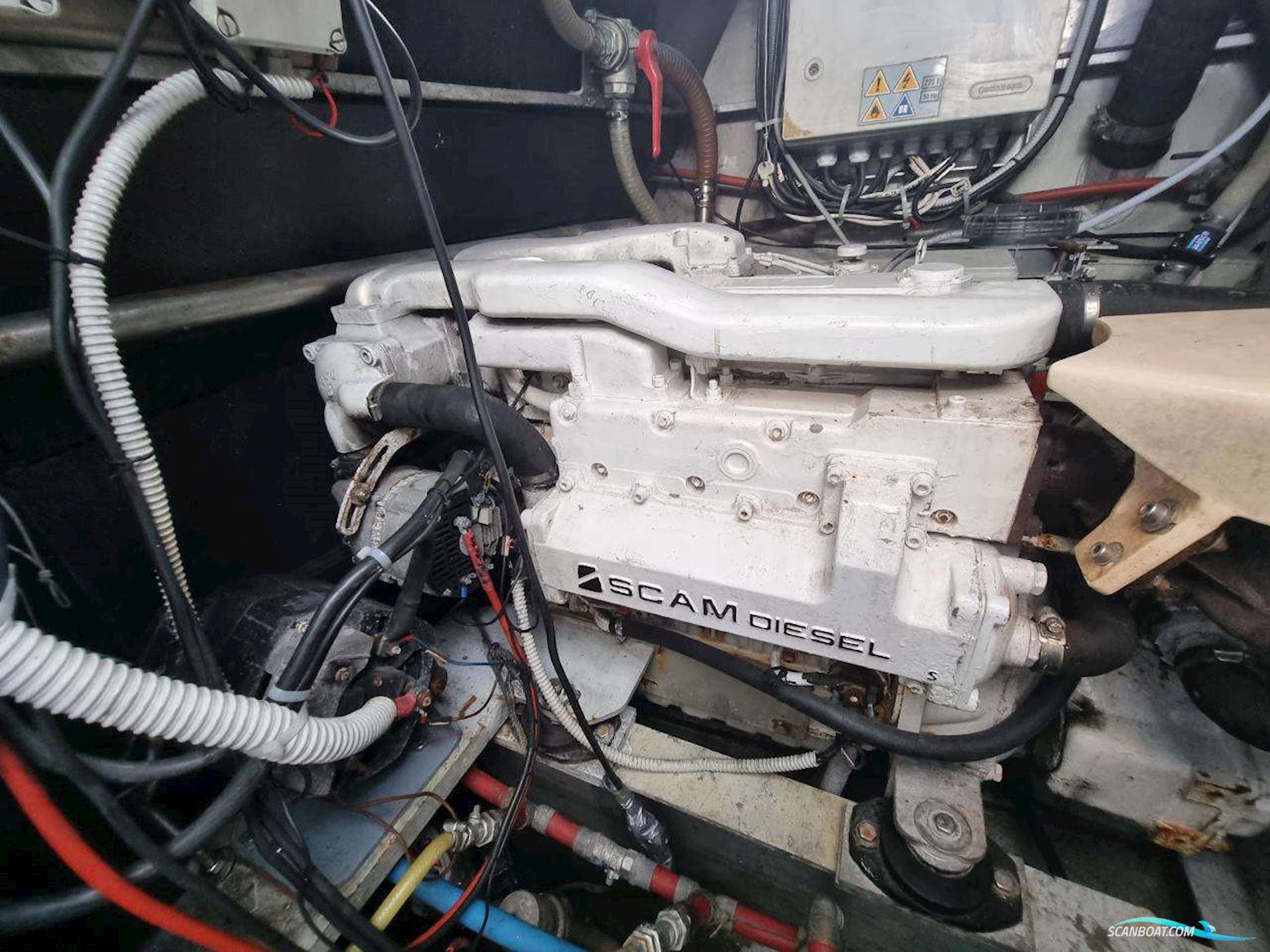 Squalt Marine International CK64