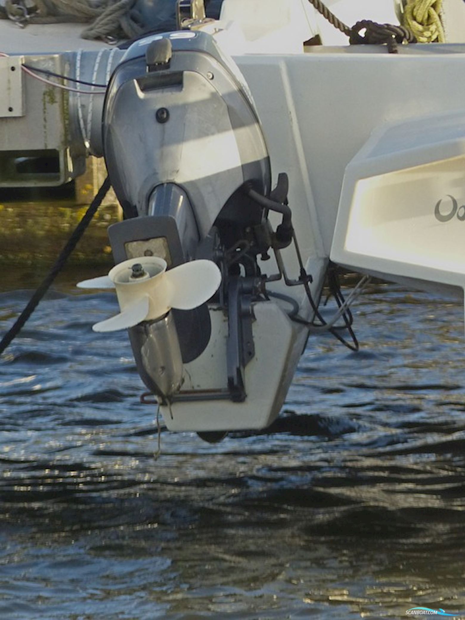 Tennant Sylph