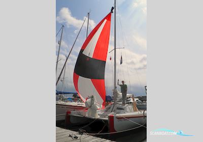 Woods Wizard Catamaran Mehrrumpfboot 1999, mit Yamaha motor, Niederlande