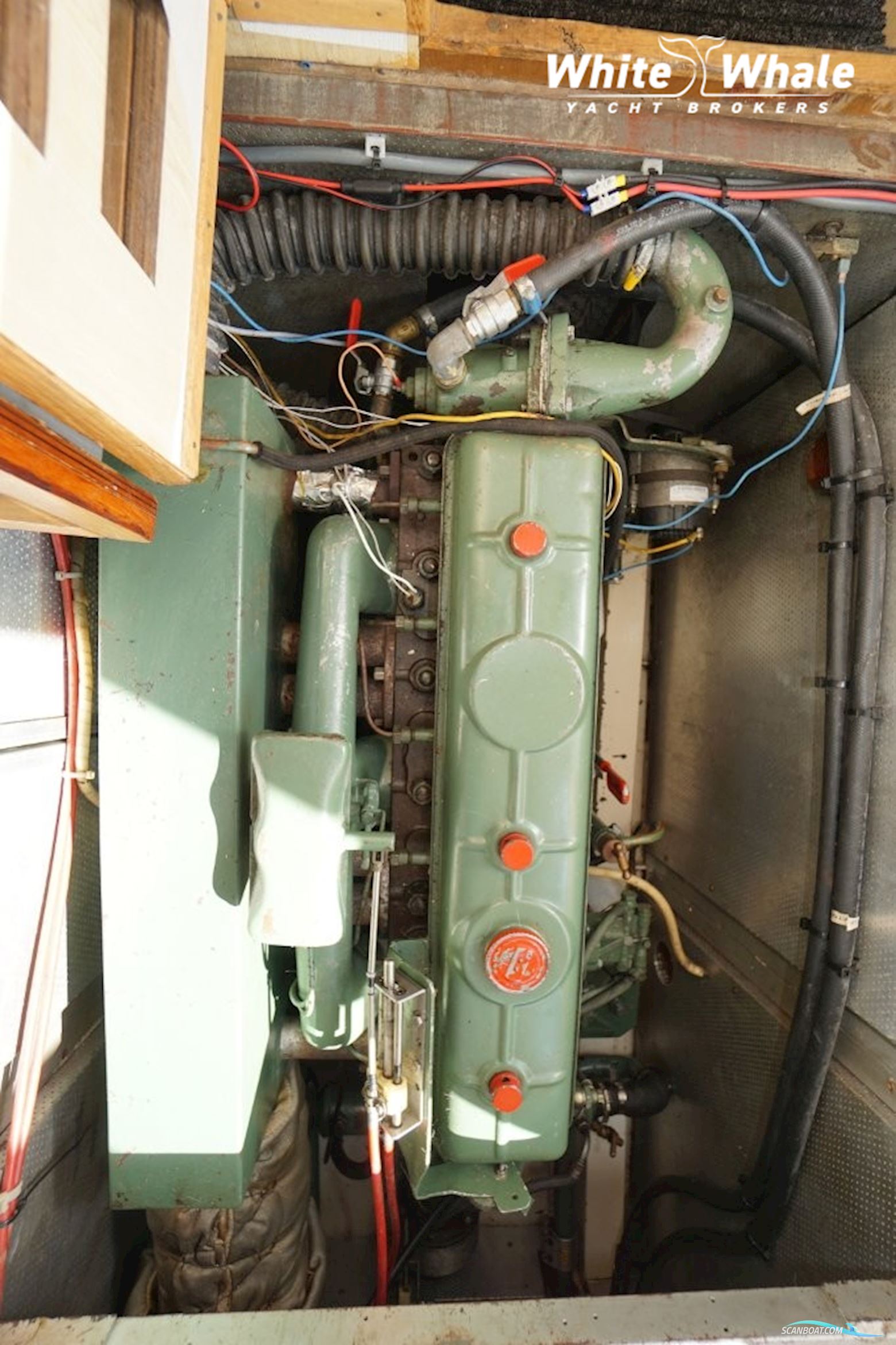 Aalsmeerkruiser 11.80