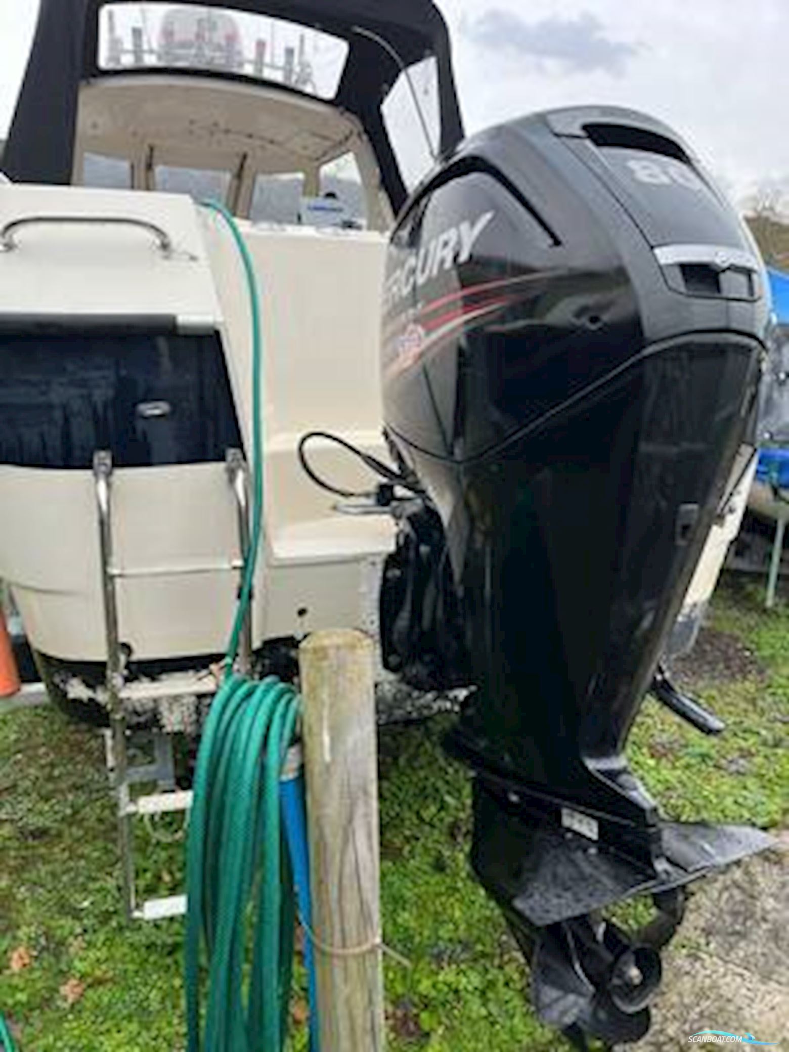 Admiral Shipyard Pro Fish 560