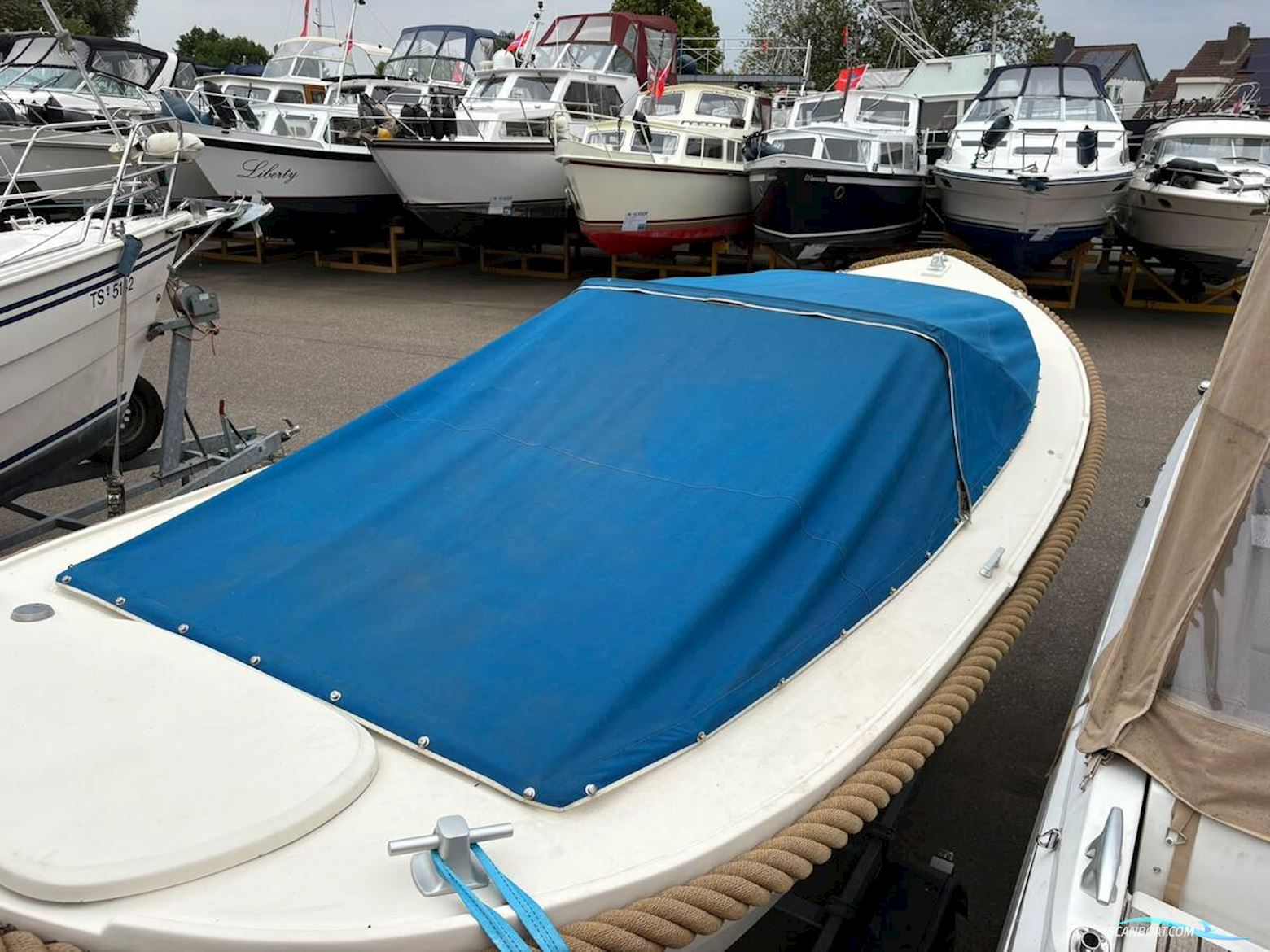 Albatros 21