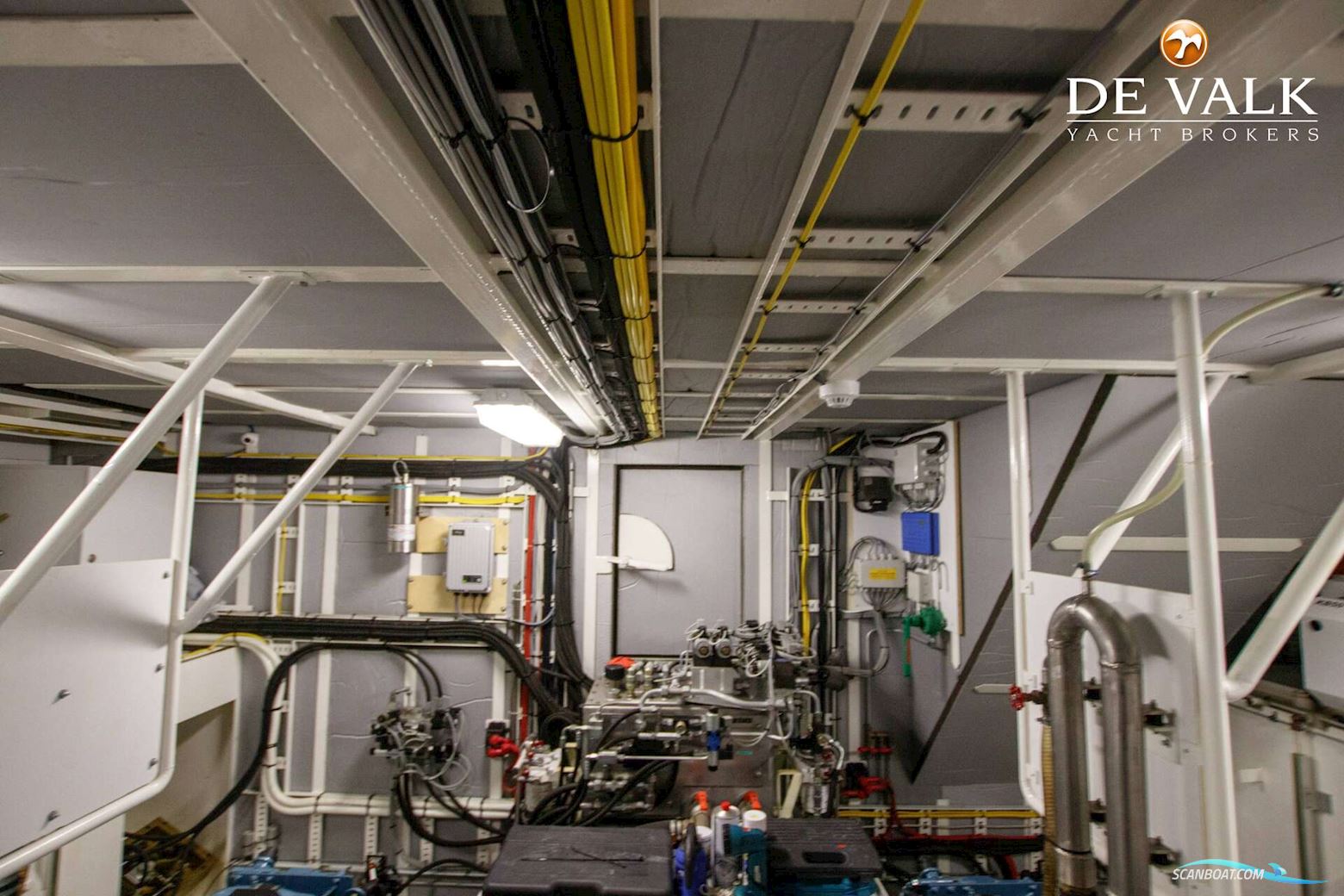 Almtrawler Delfino 65