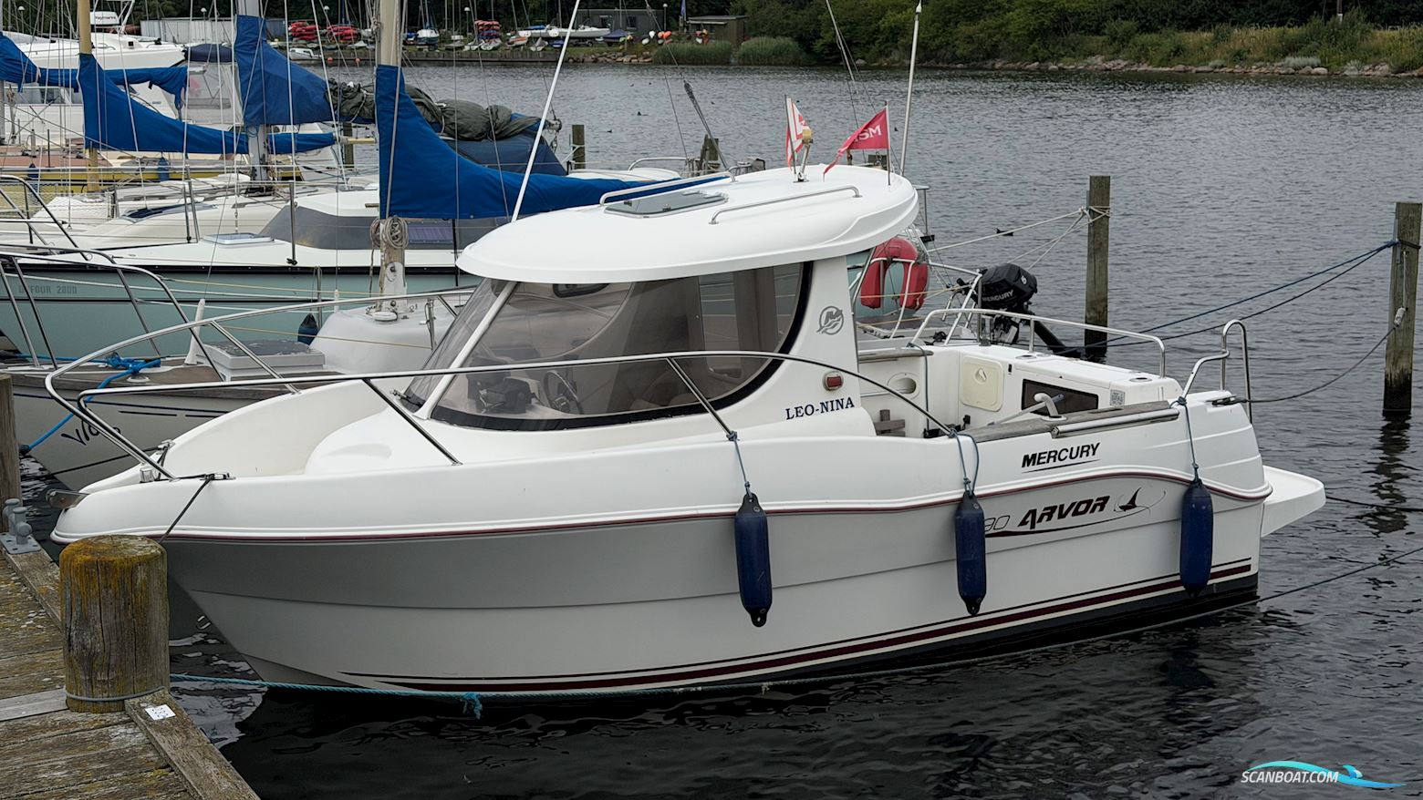 Arvor 190
