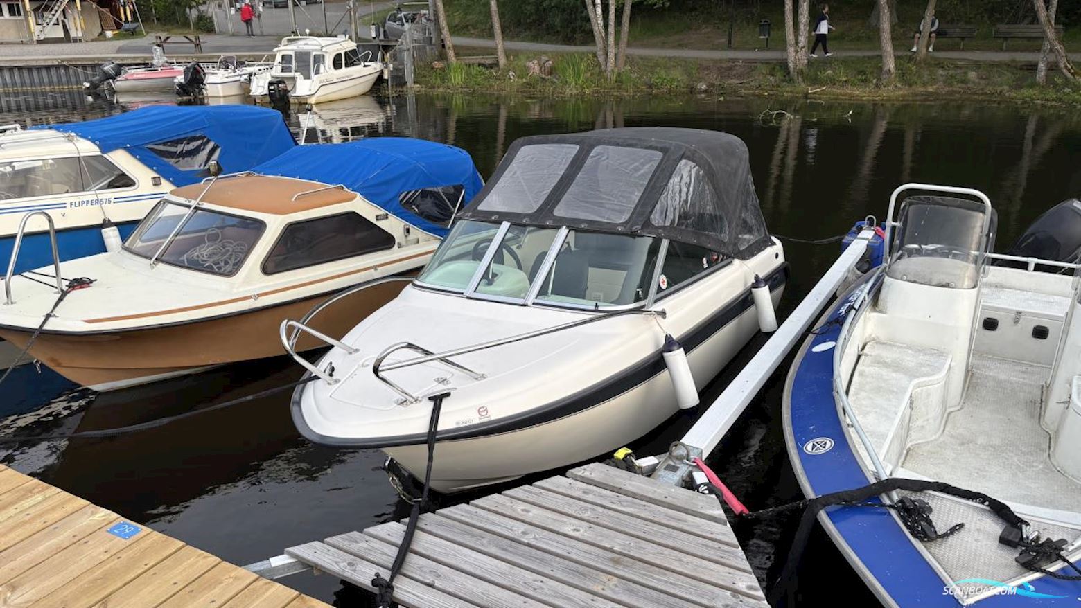 ASKELADDEN 445 CHASER