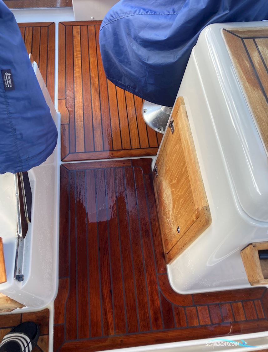 Askeladden 645 Beetle