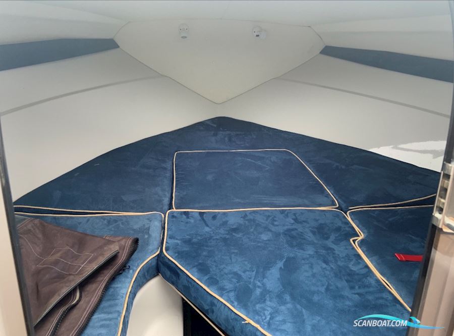 Askeladden 645 Beetle