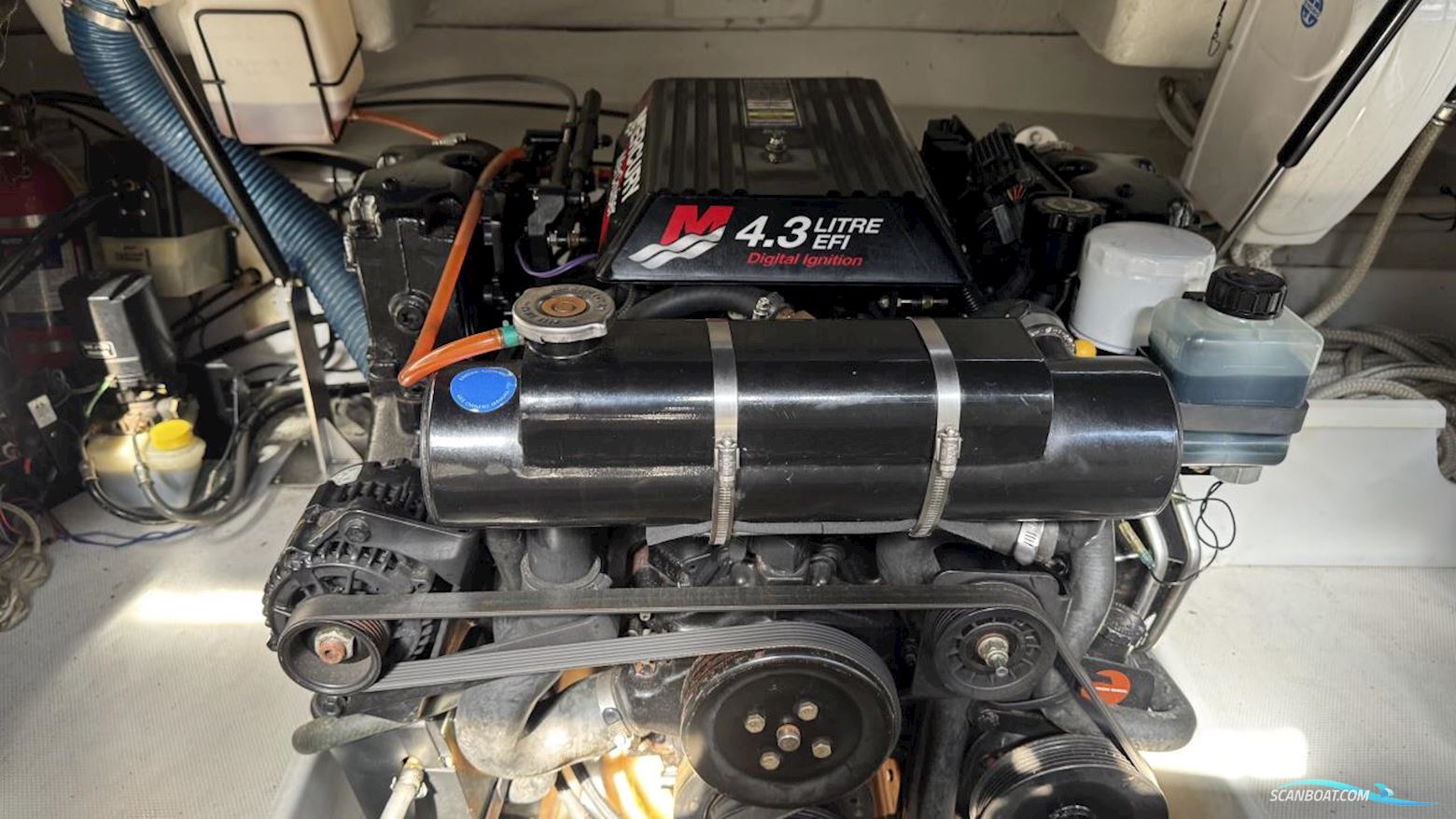 ASKELADDEN 645 BEETLE