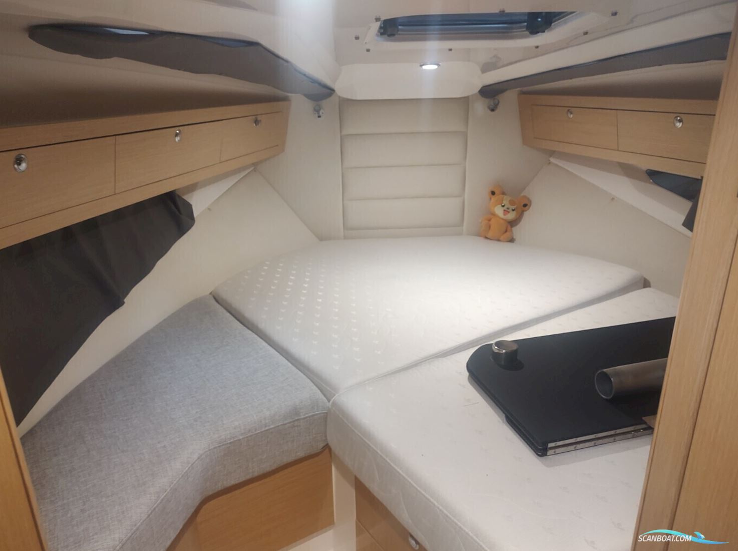 Askeladden C83 Cruiser