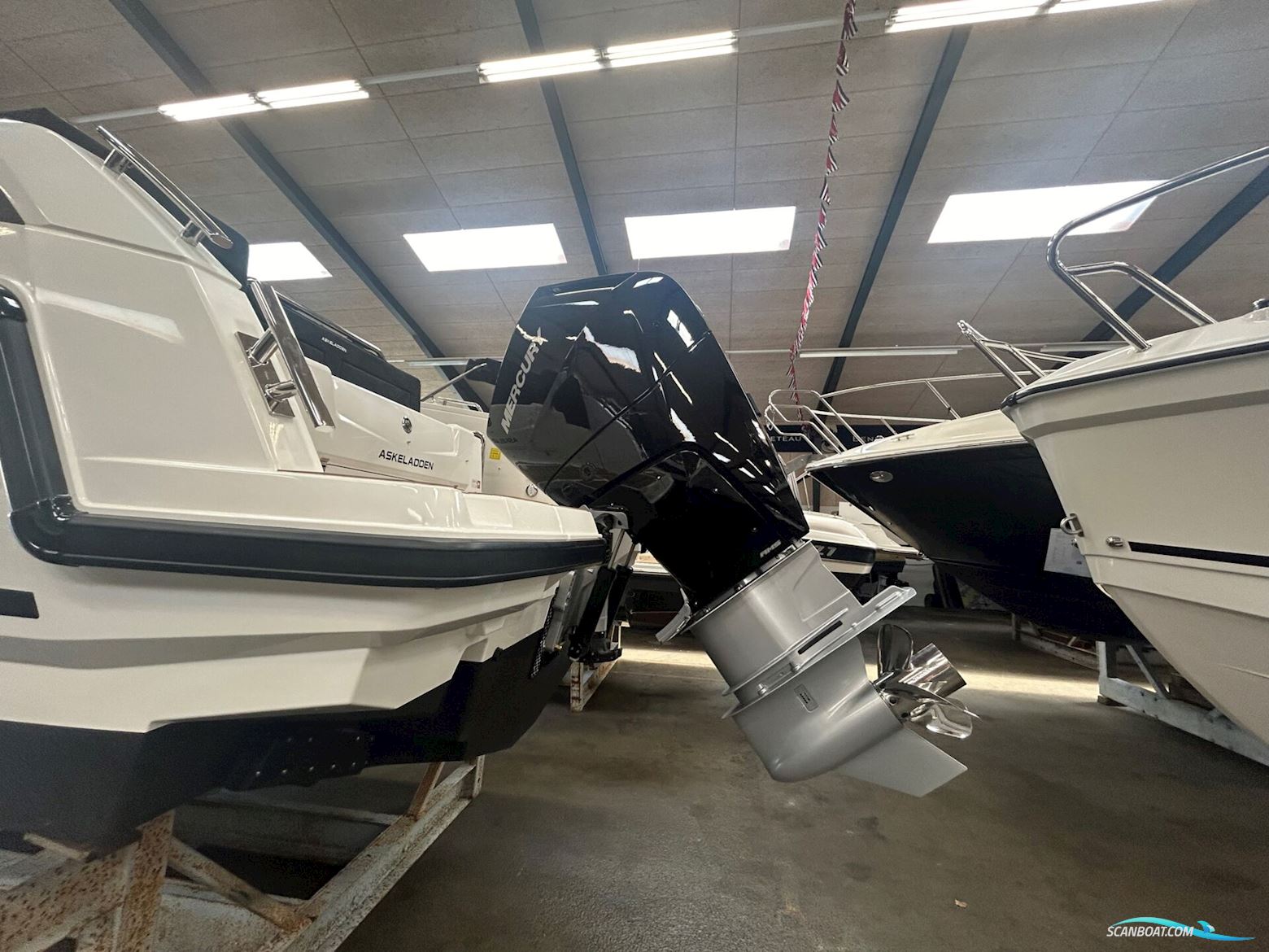 Askeladden C91 Cruiser