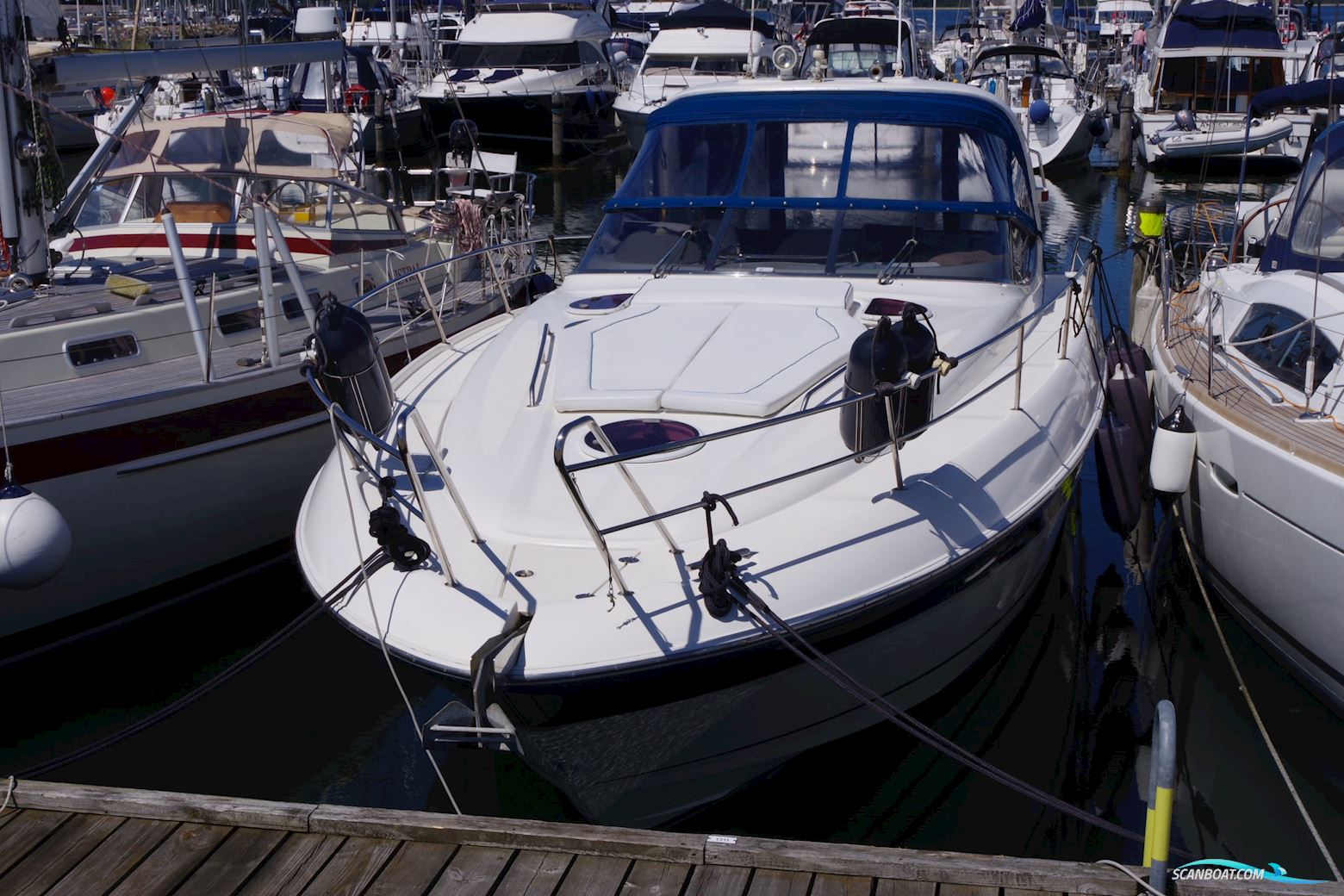 Bavaria Bavaria 37 Sport